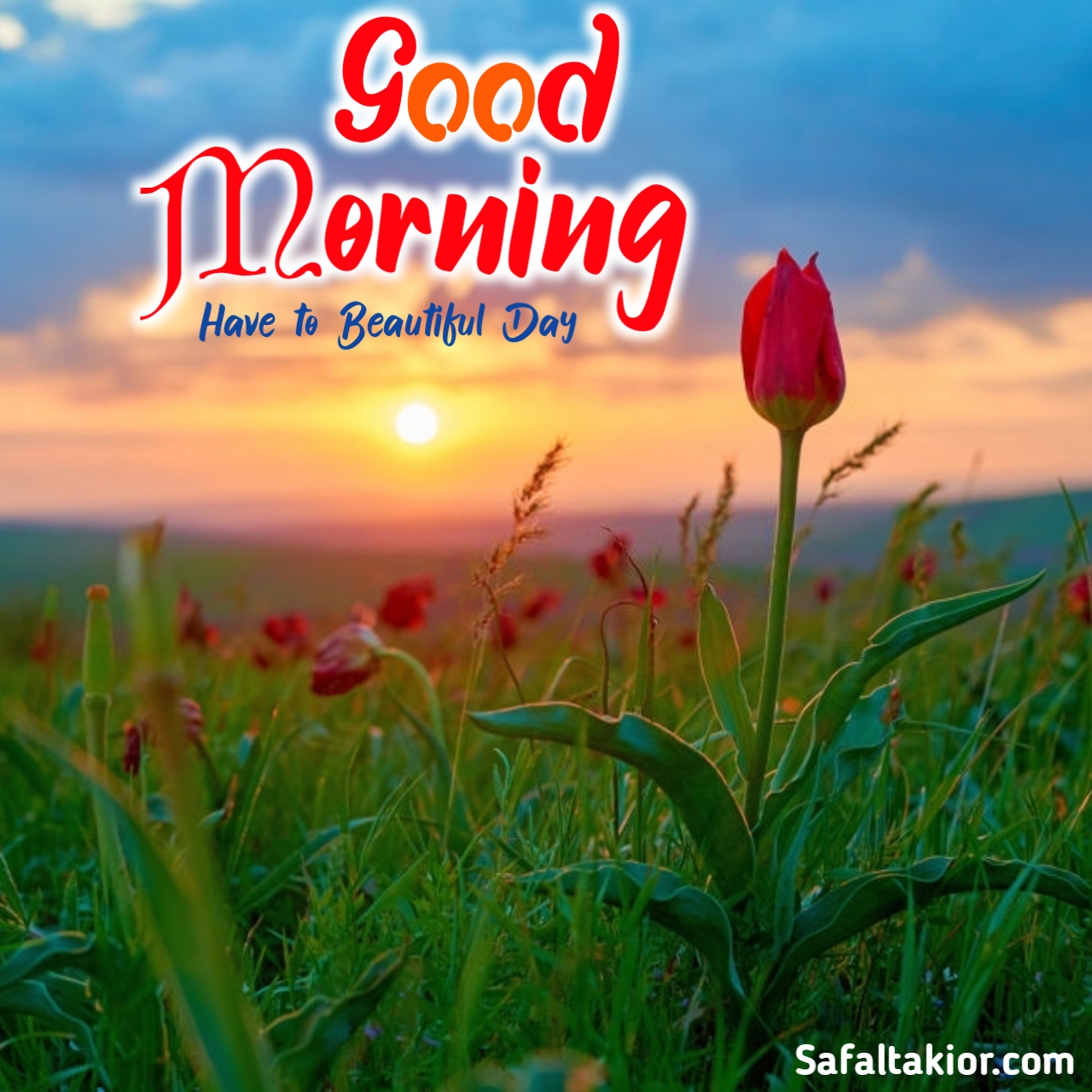 good morning images flowers