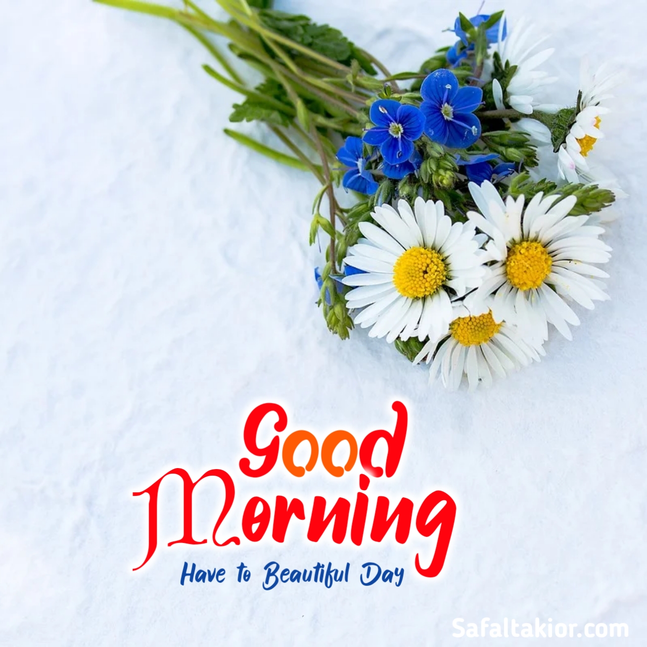 "good morning images flowers