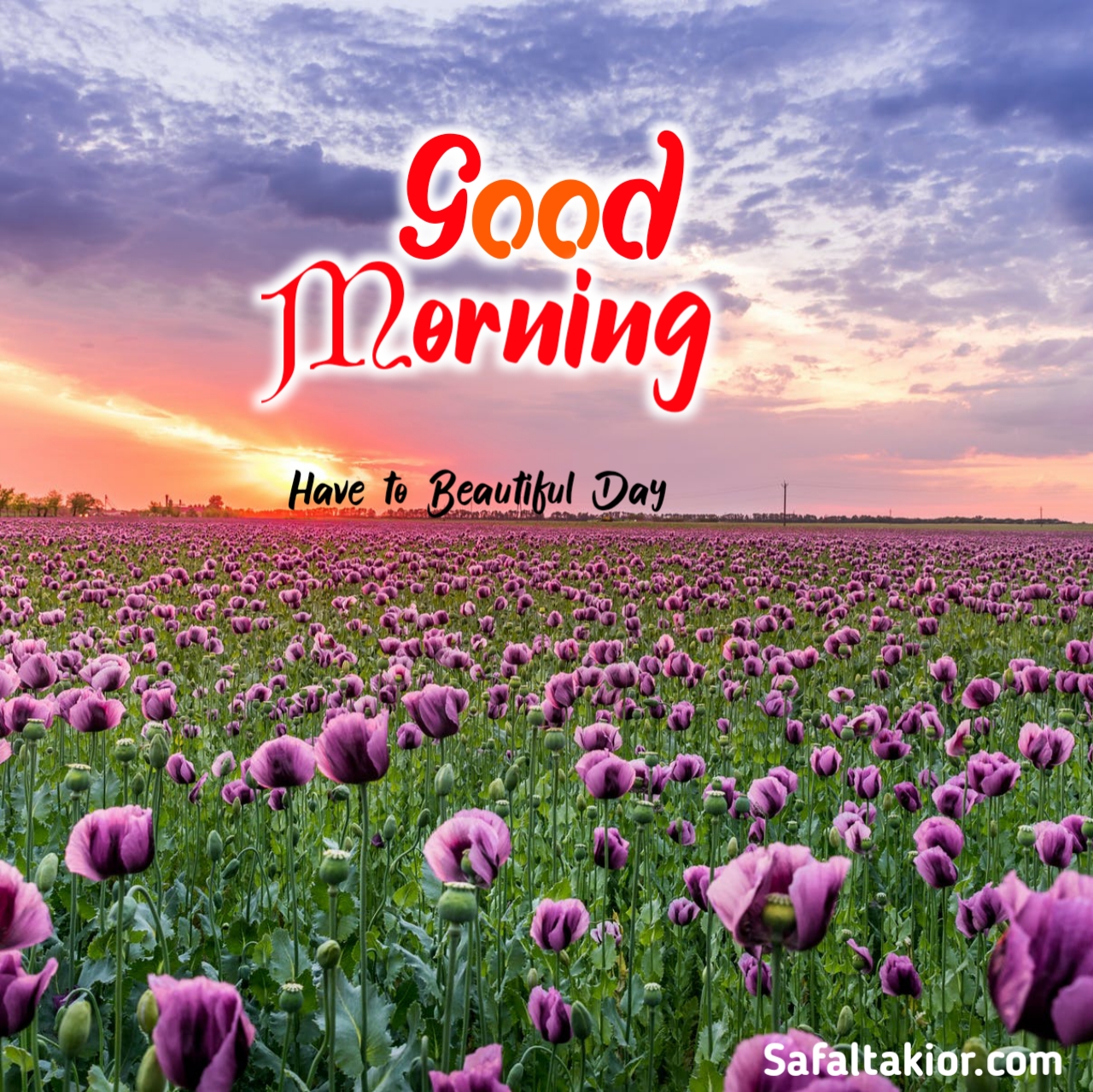 lovely good morning images