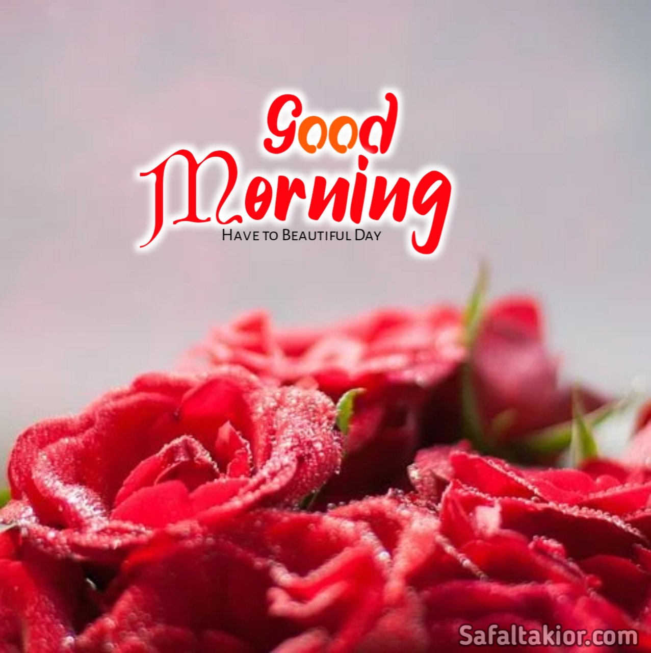 "good morning images flowers
