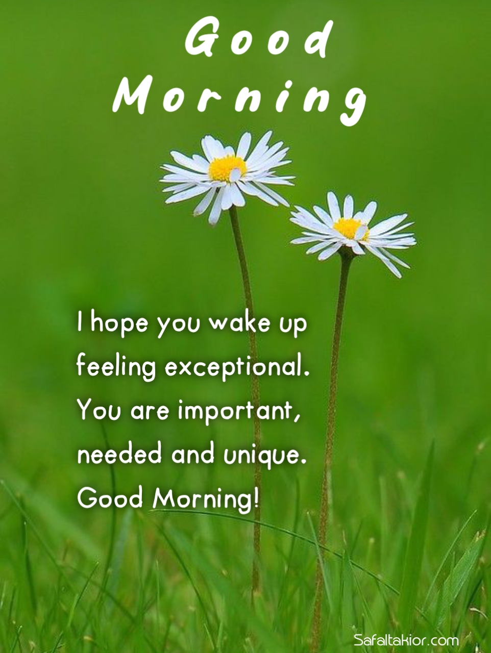 New Good Morning Quotes