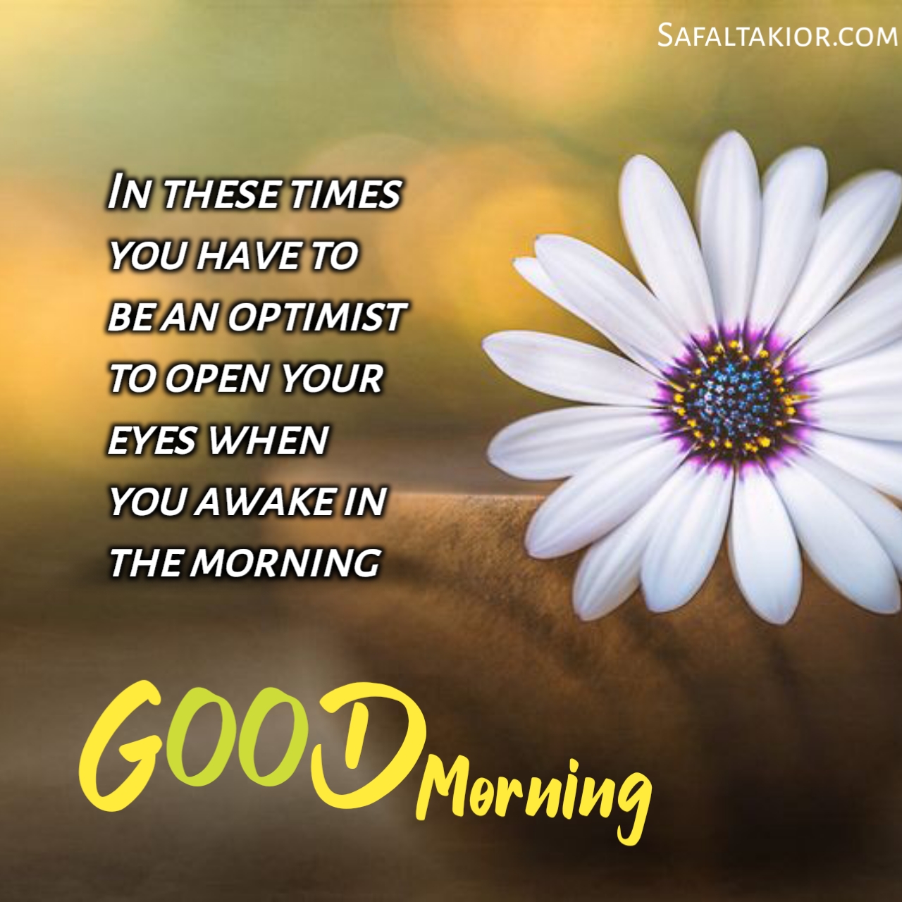 Beautiful 'Good Morning' Thoughts,Quotes &images Messages