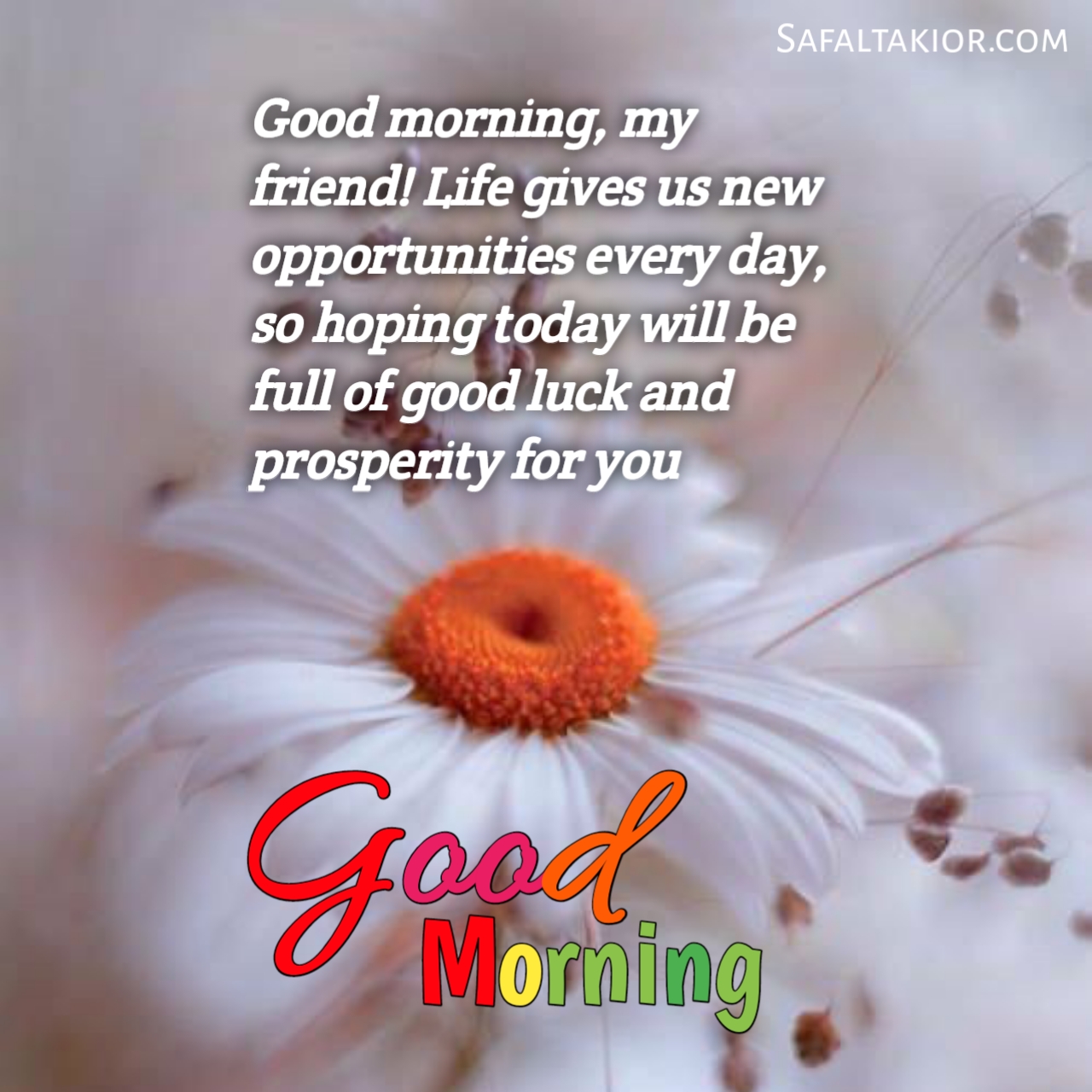 Beautiful 'Good Morning' Thoughts,Quotes &images Messages