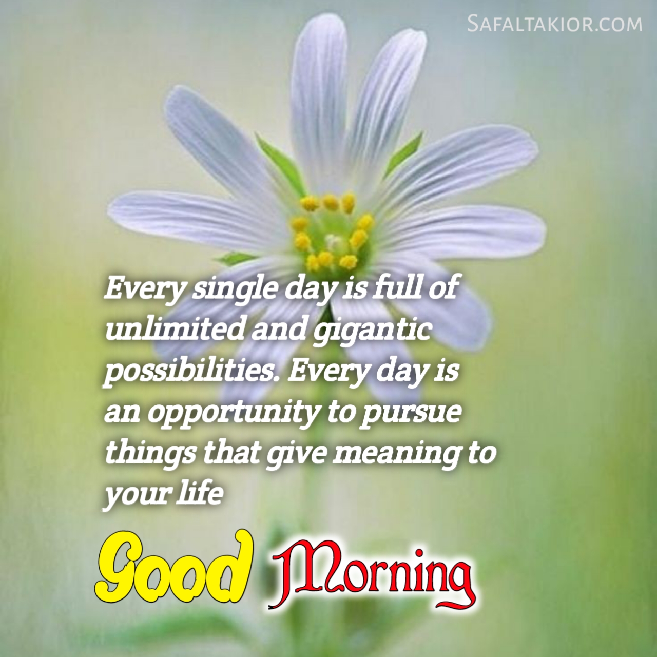 Beautiful 'Good Morning' Thoughts,Quotes &images Messages