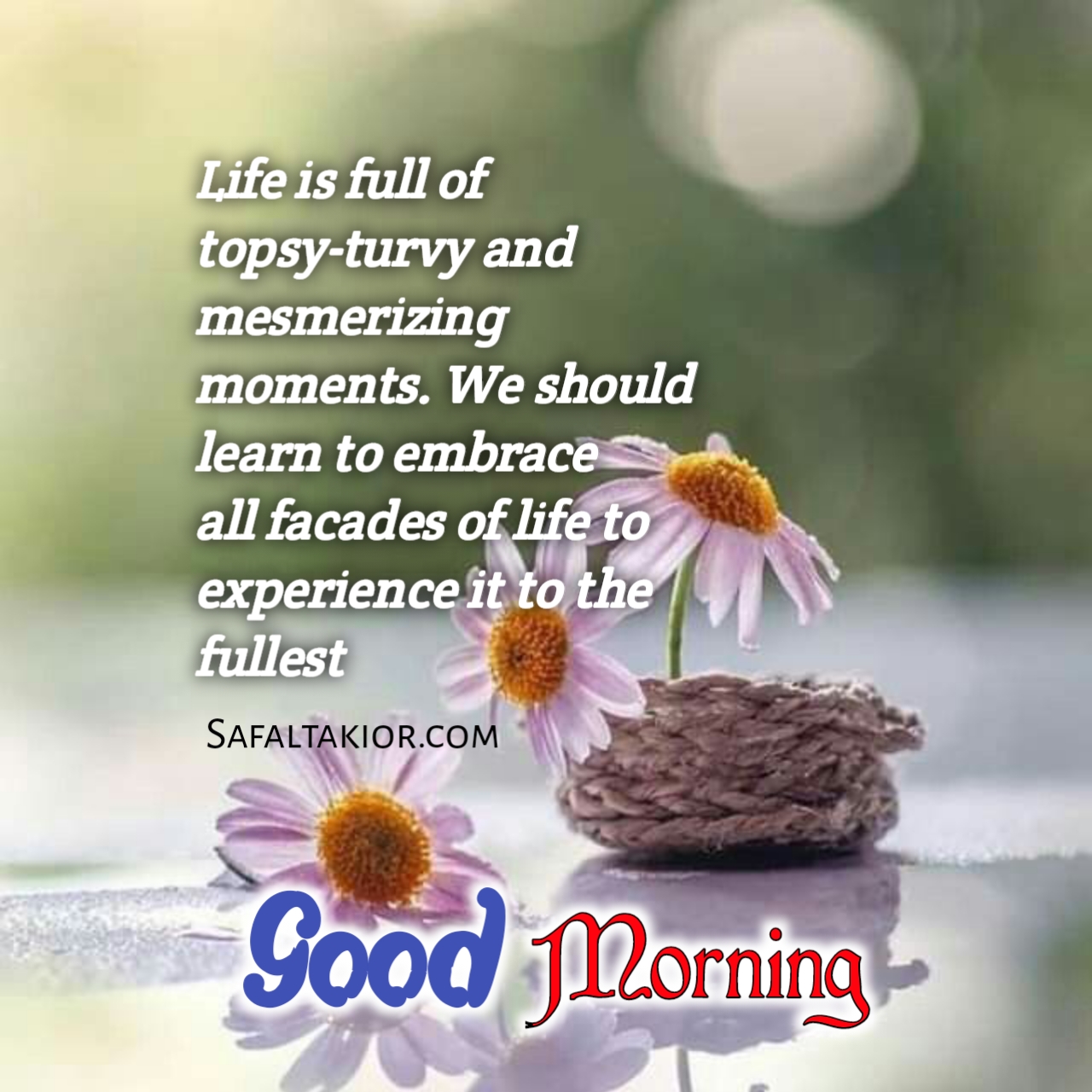 Beautiful 'Good Morning' Thoughts,Quotes &images Messages