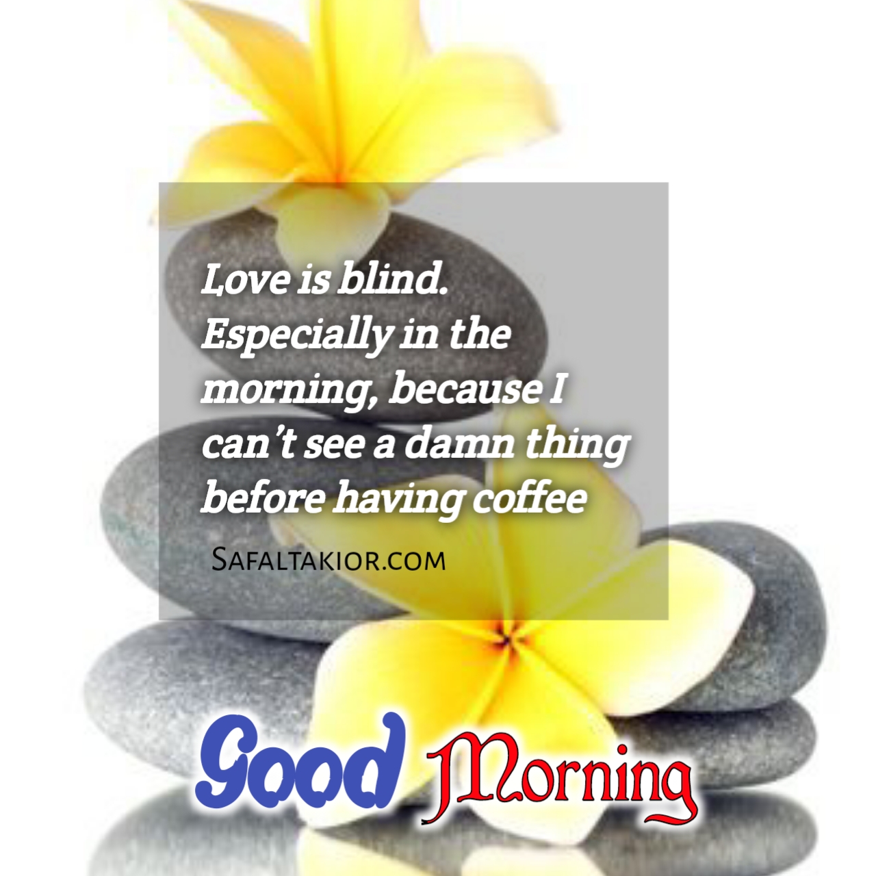 Beautiful 'Good Morning' Thoughts,Quotes &images Messages