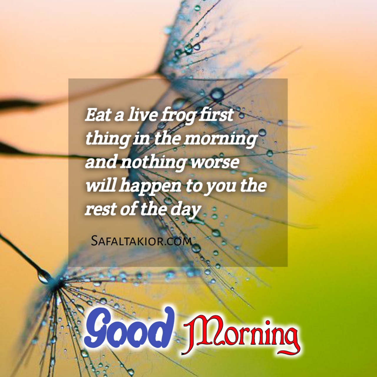Beautiful 'Good Morning' Thoughts,Quotes &images Messages