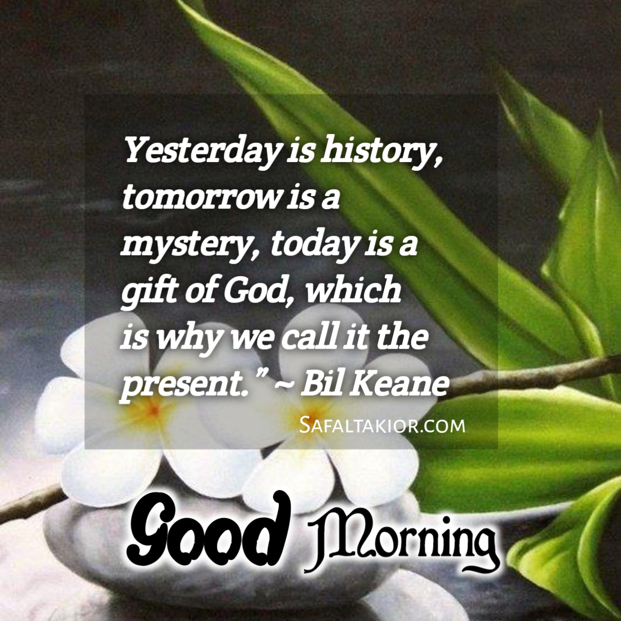 Beautiful 'Good Morning' Thoughts,Quotes &images Messages