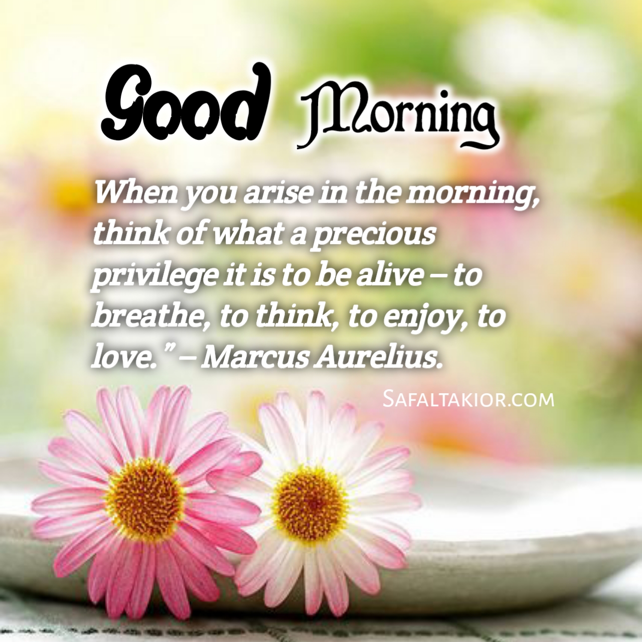 Beautiful 'Good Morning' Thoughts,Quotes &images Messages