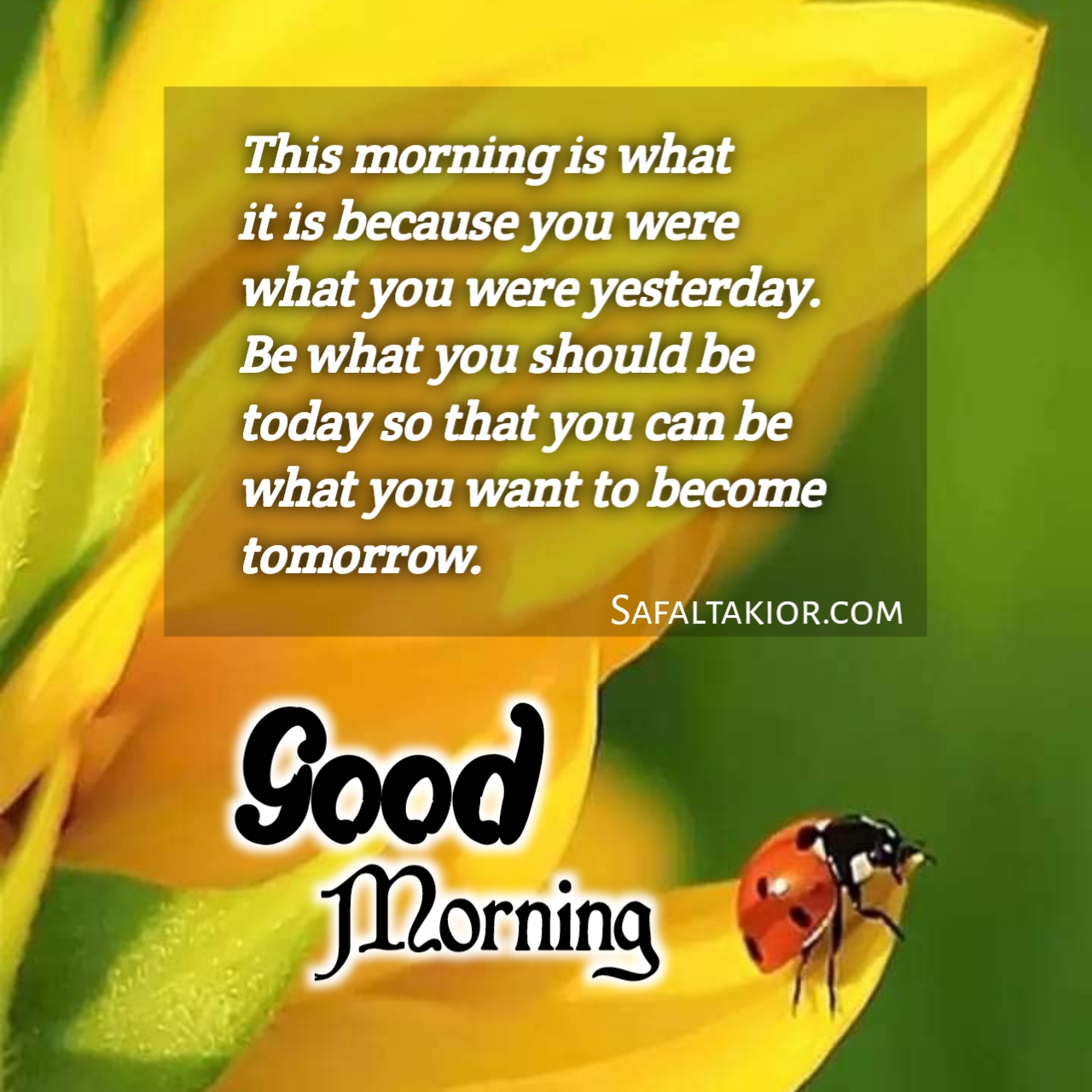 Beautiful 'Good Morning' Thoughts,Quotes &images Messages