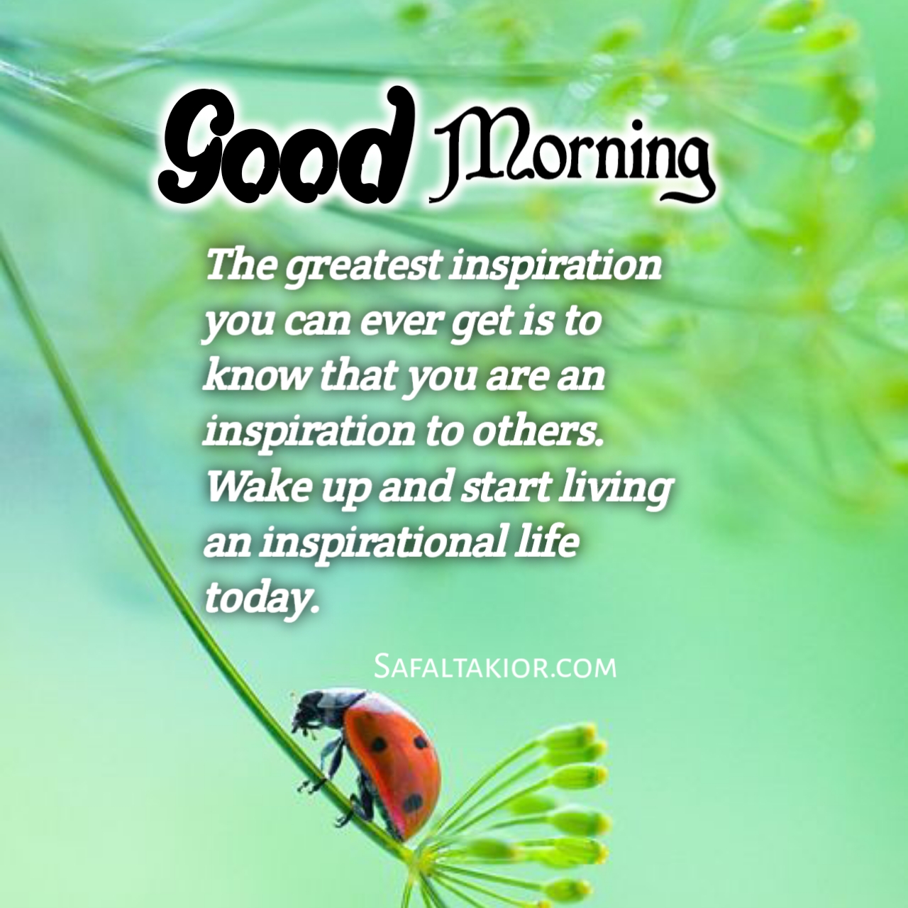 Beautiful 'Good Morning' Thoughts,Quotes &images Messages