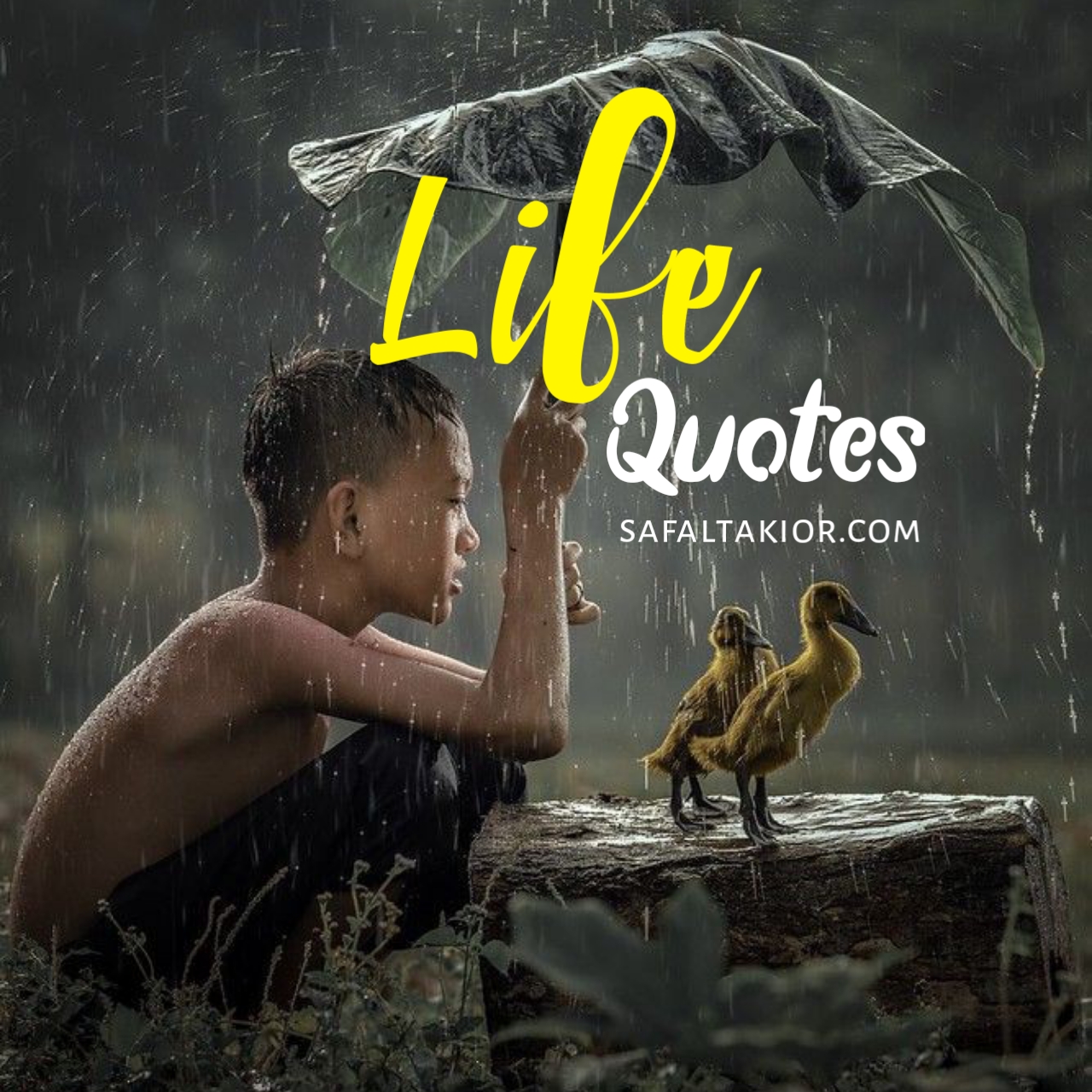 New Life Quotes& Deep Quotes about life — Quotes on Life 2021