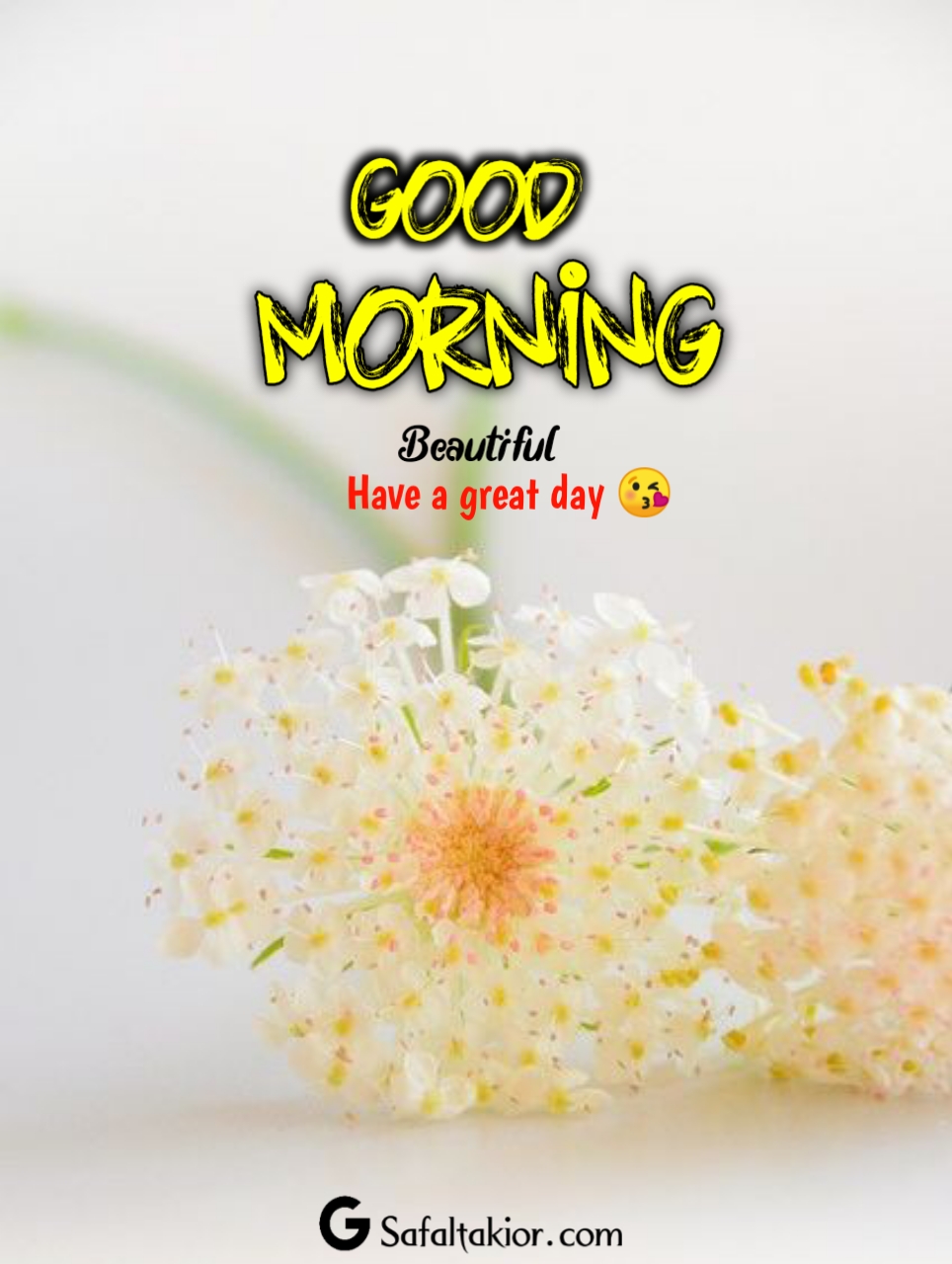 good morning images free download