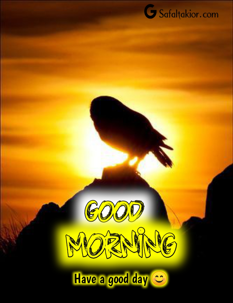 birds good morning images new