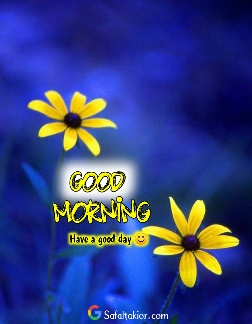 Good Morning Images with flowers HD