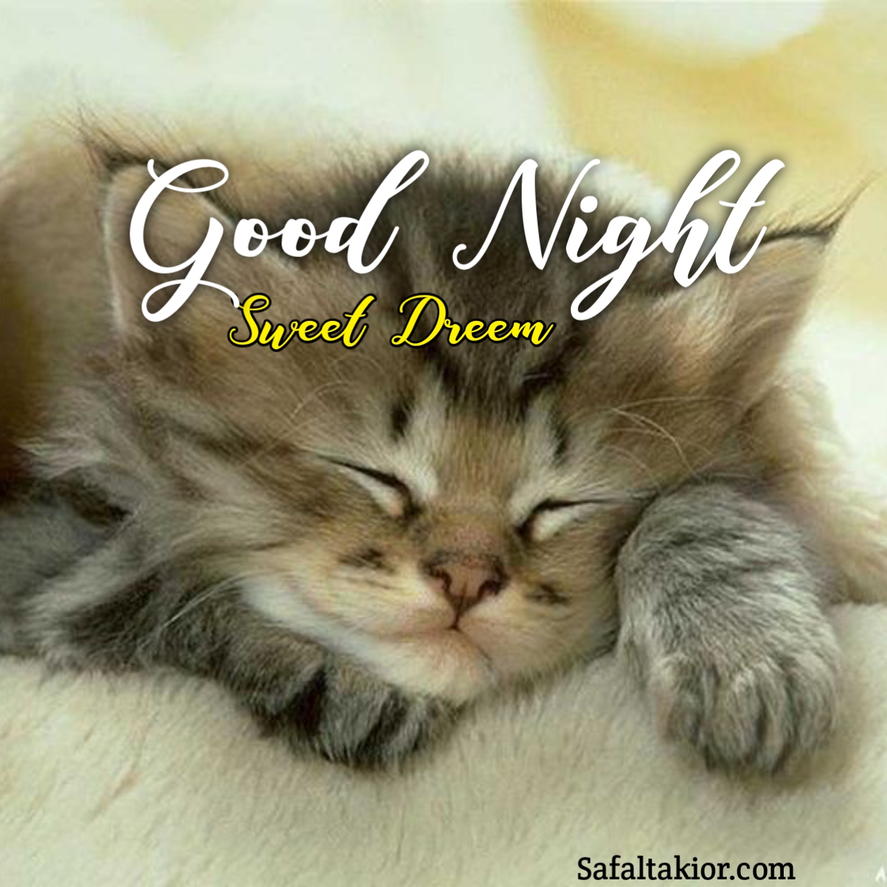 cute good night cat images