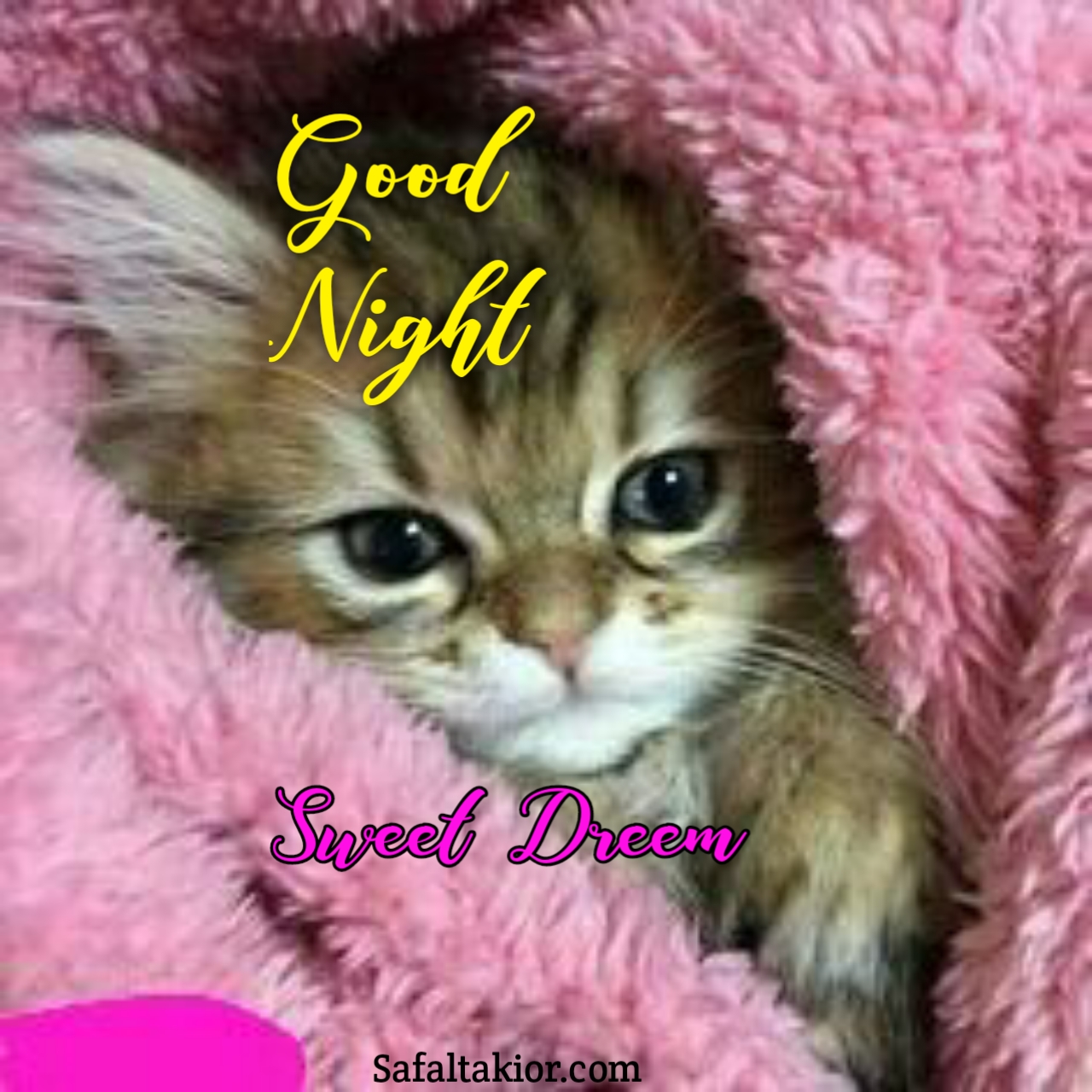 good night cat images hd