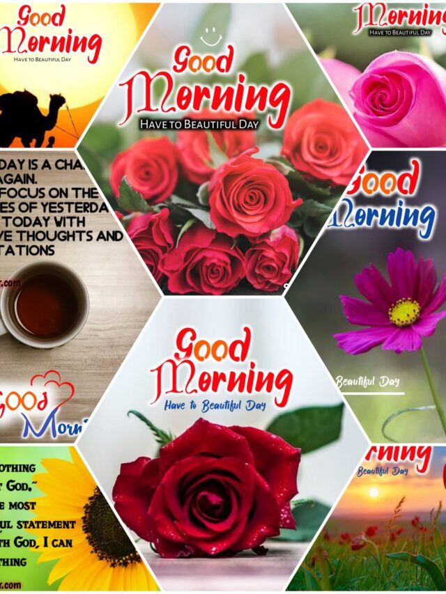 Best Good Morning images Photo massage and  wishes 100+ images