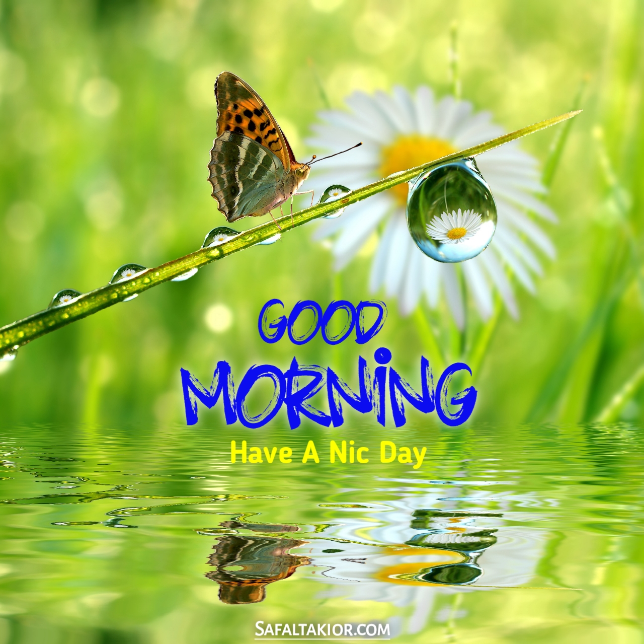 special beautiful good morning images