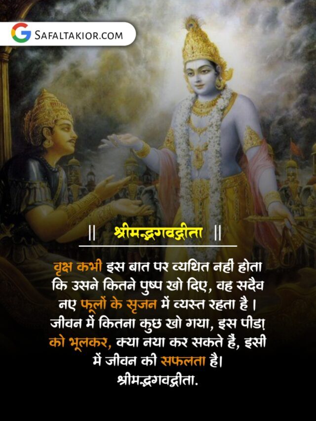 गीता सार इन हिंदी Geeta Gyan, Geeta Saar, Updesh