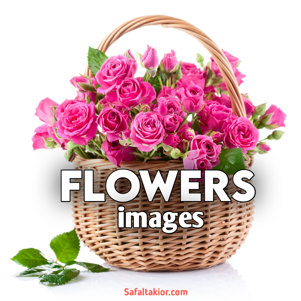 flowers images