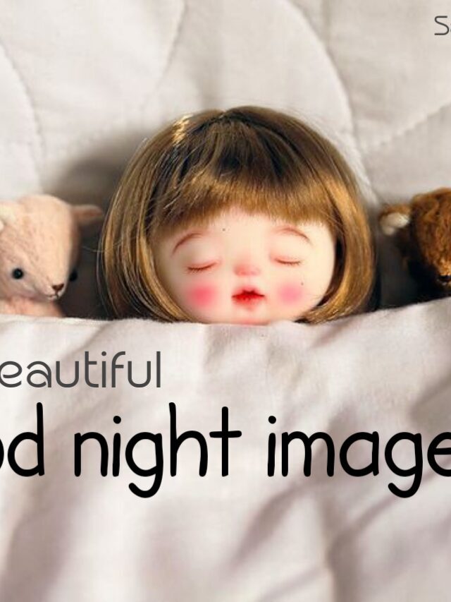 Beautiful Good Night Images,Wallpaper & Photo