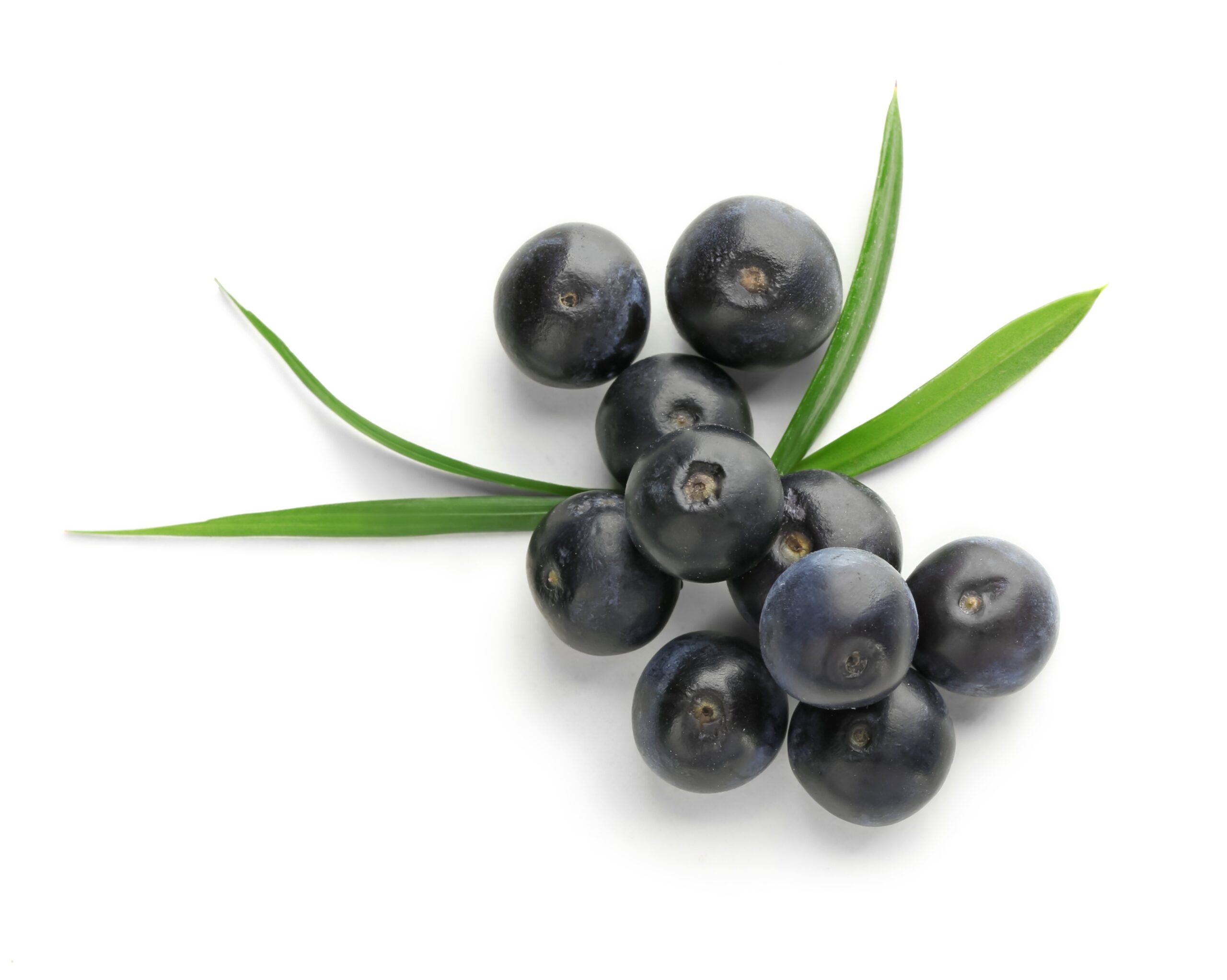 What are the benefits of acai berries