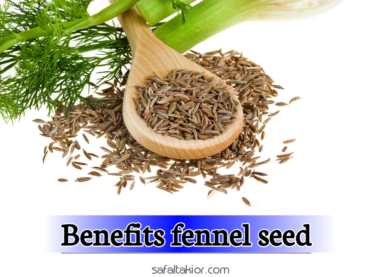 The 17 Benefits of Fennel Seed for Your Health