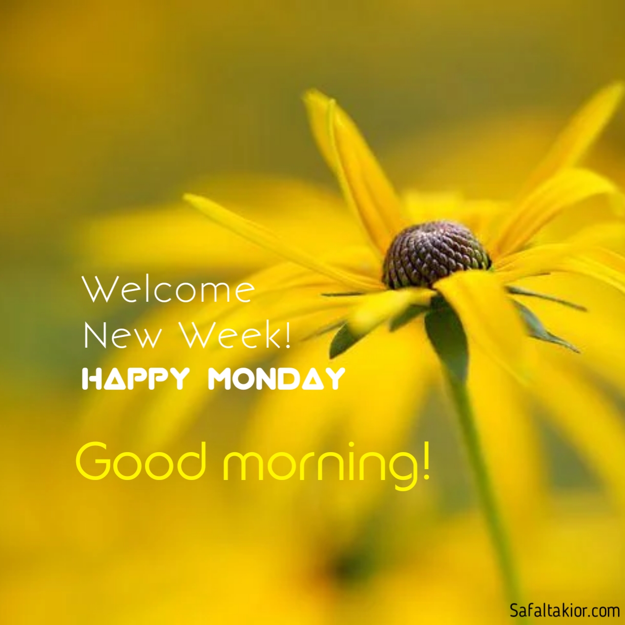happy monday images quotes