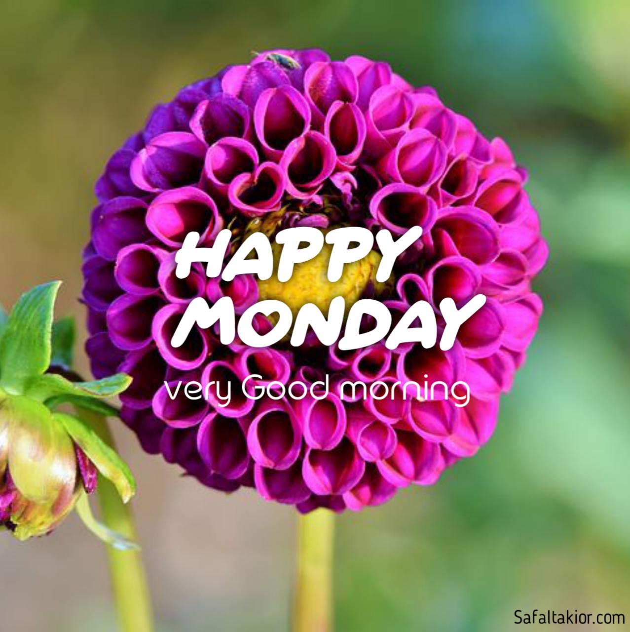 images of happy monday