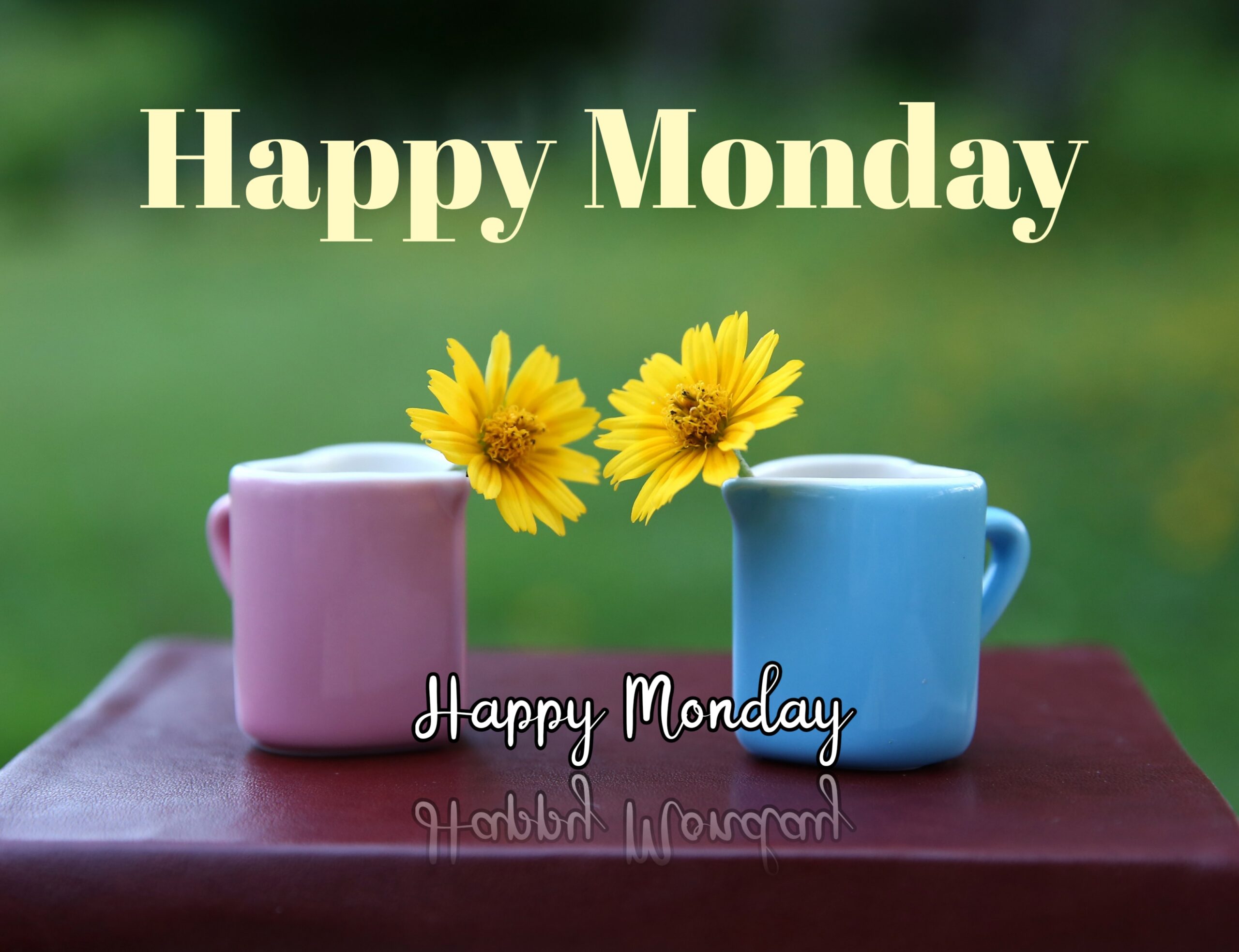 Good Morning Monday Images for Whatsapp Free Download