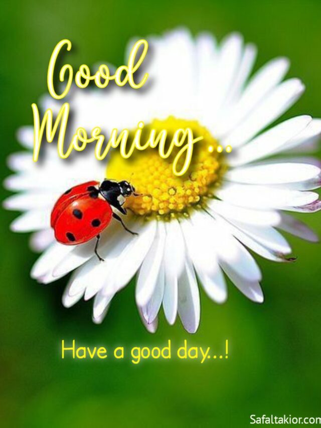 Good Morning USA Photo Very Very Good Morning images