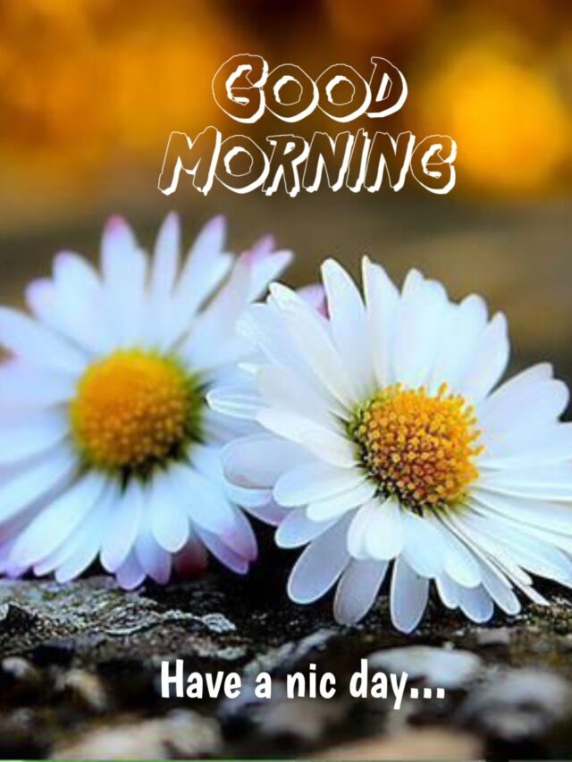 American Good Morning images 100+ Beautiful  photos Qotes