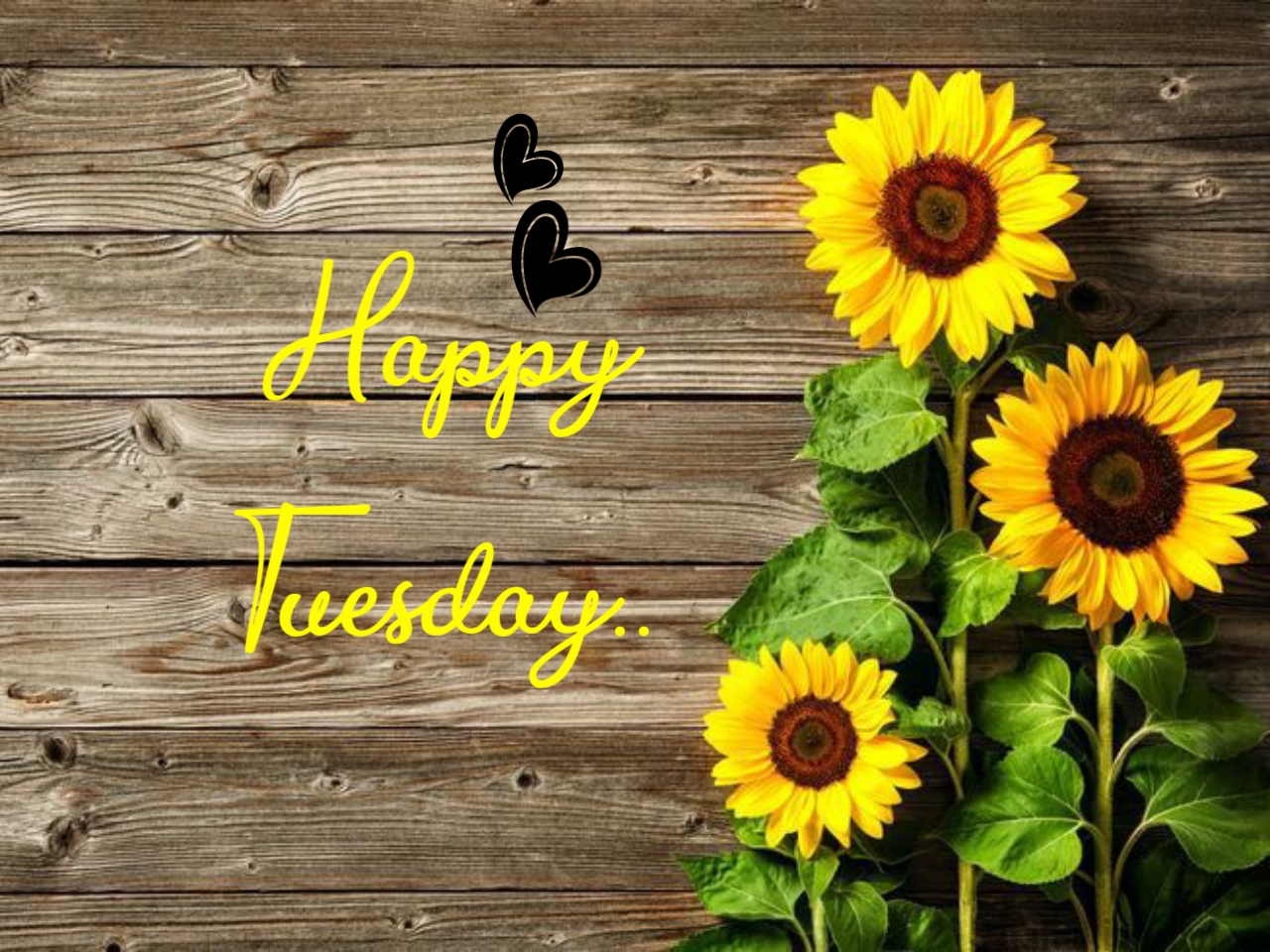 sunflower with happy tuesday images 