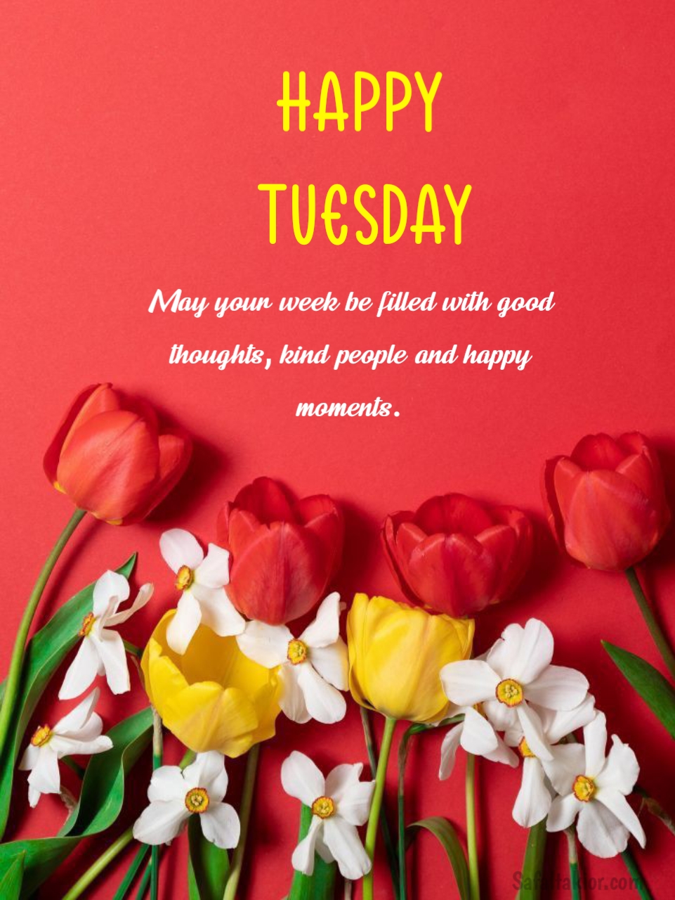 images of happy tuesday quotes