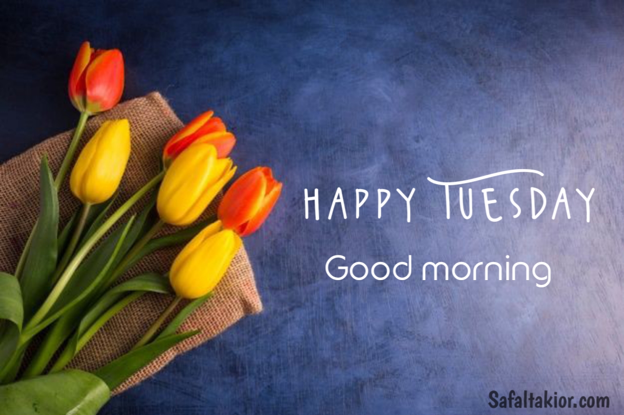 images of happy tuesday blessings