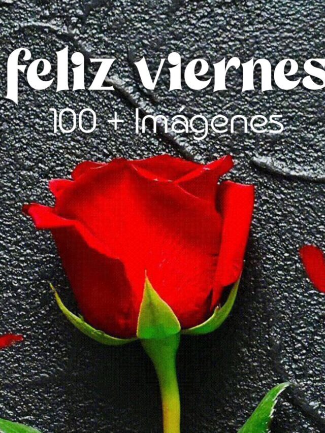 100+ feliz viernes buenos dias images