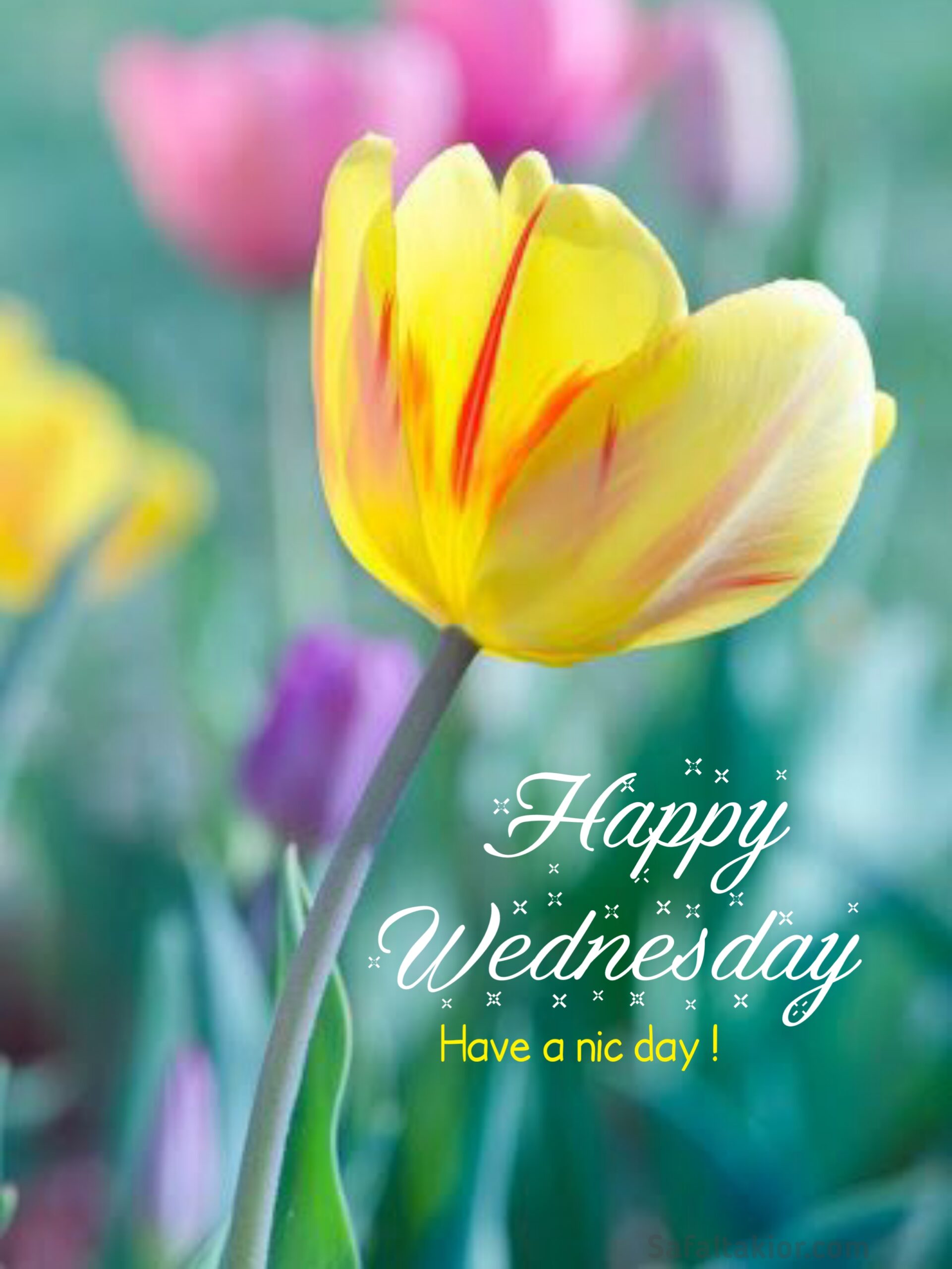 happy wednesday images