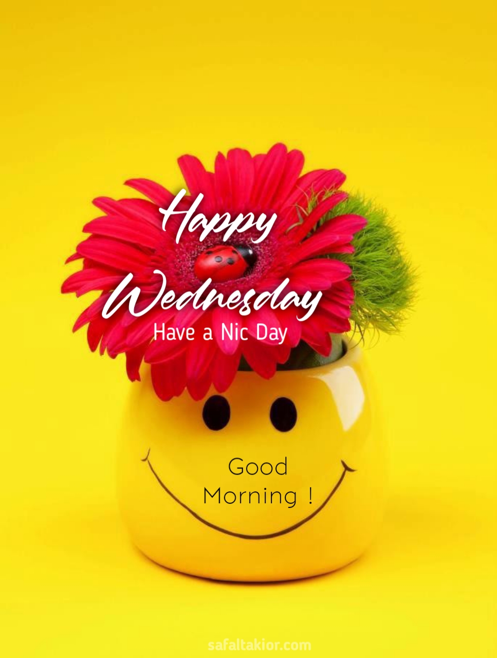 happy wednesday images