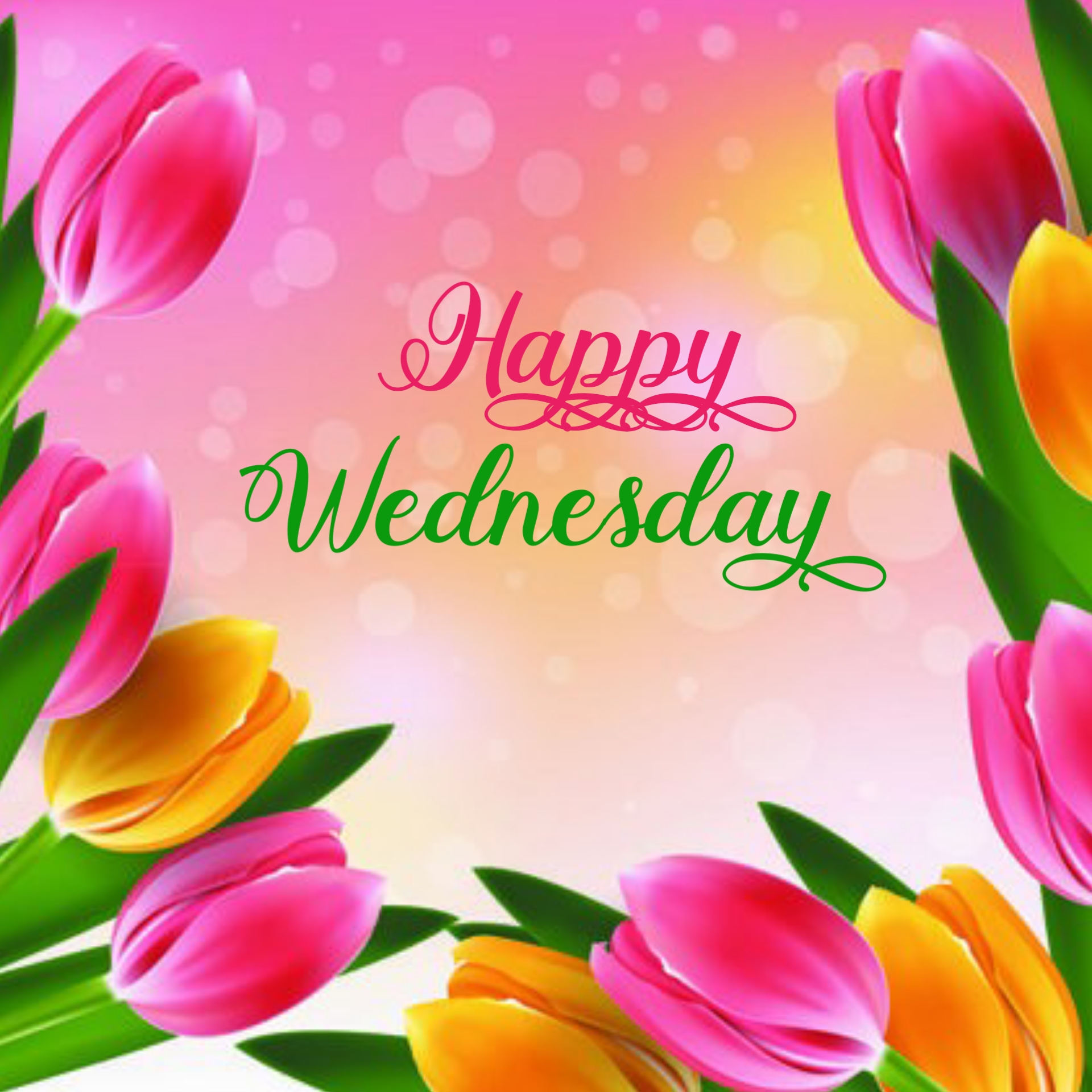 wonderful wednesday images