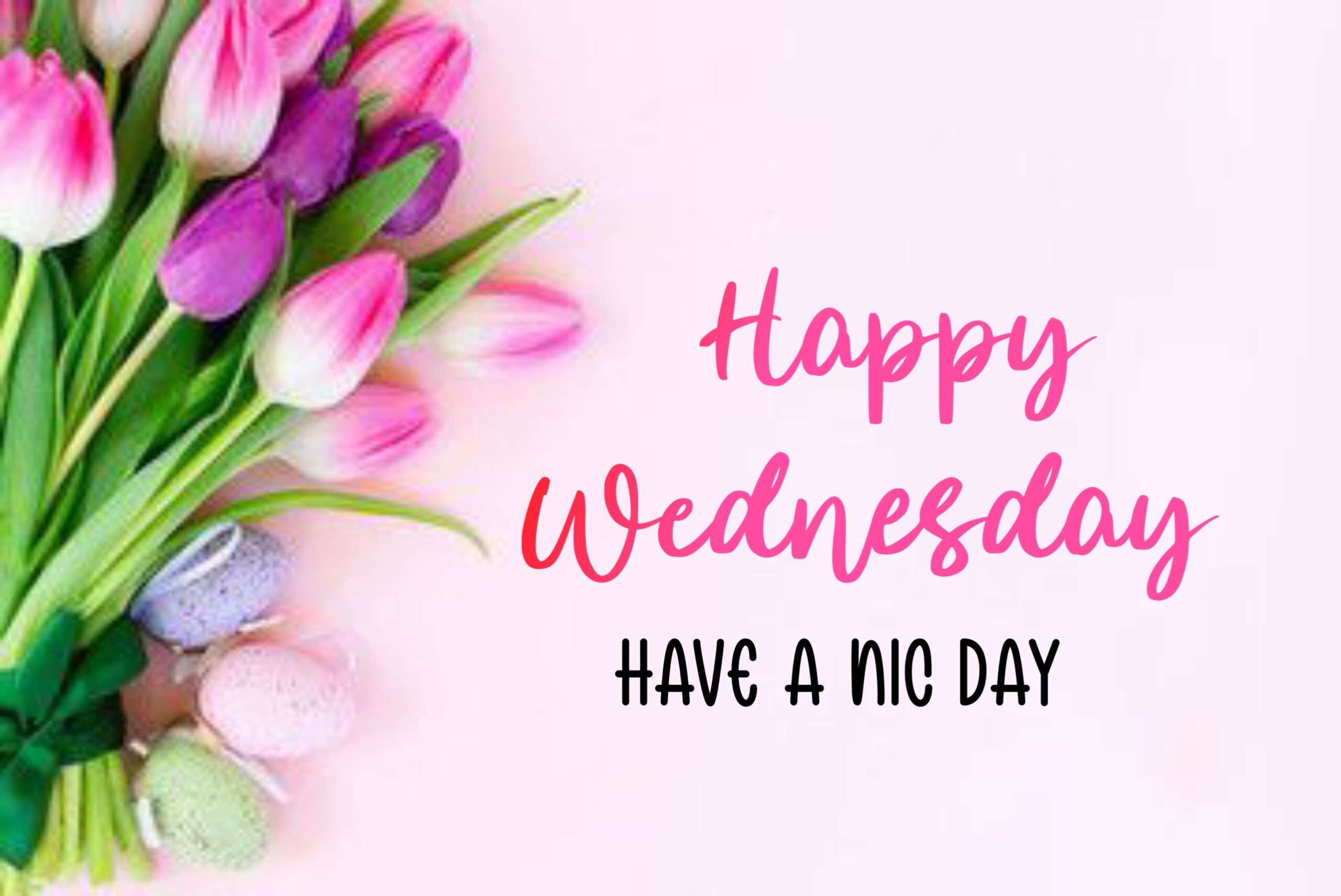 wonderful wednesday images