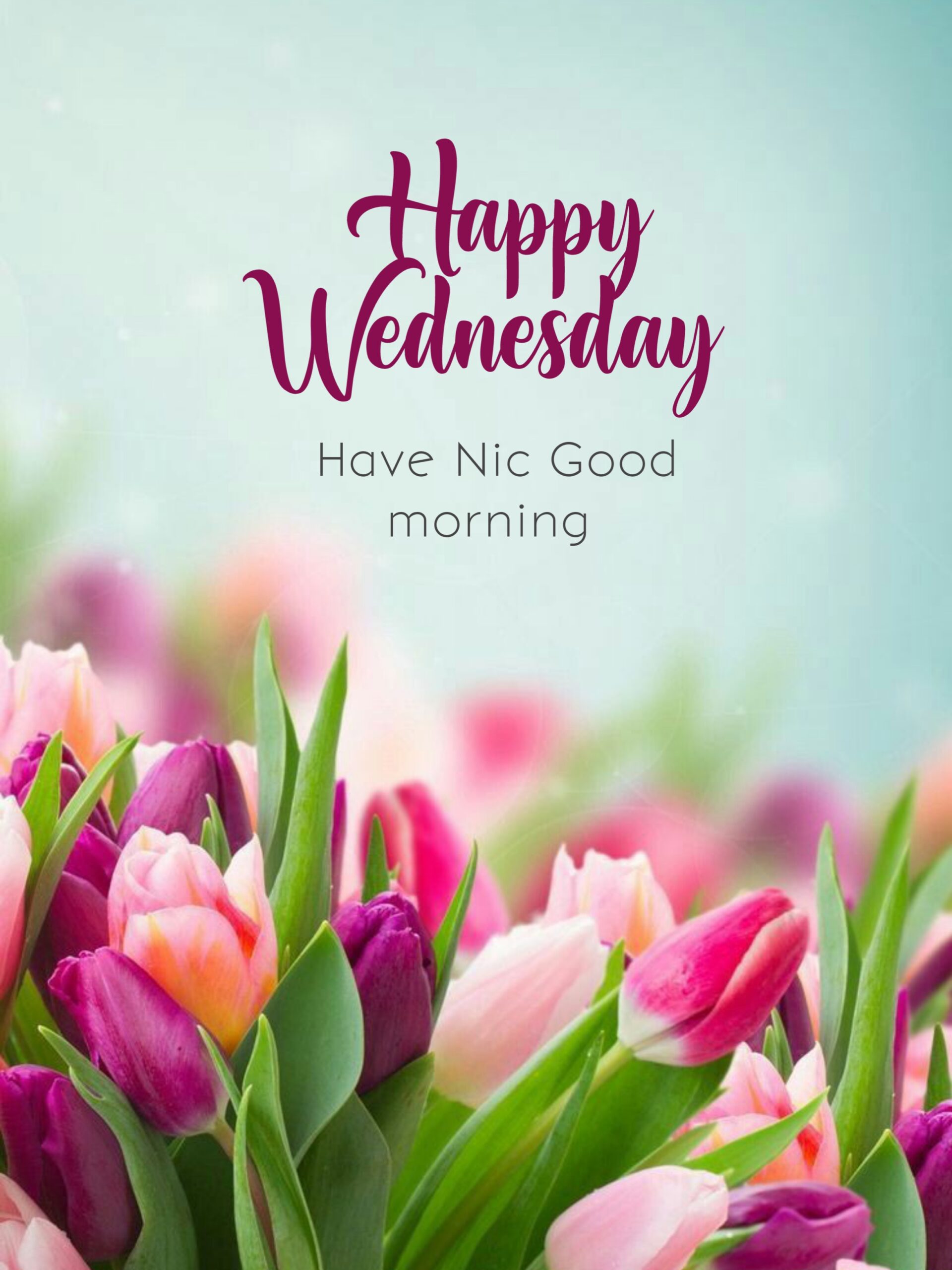 wonderful wednesday images