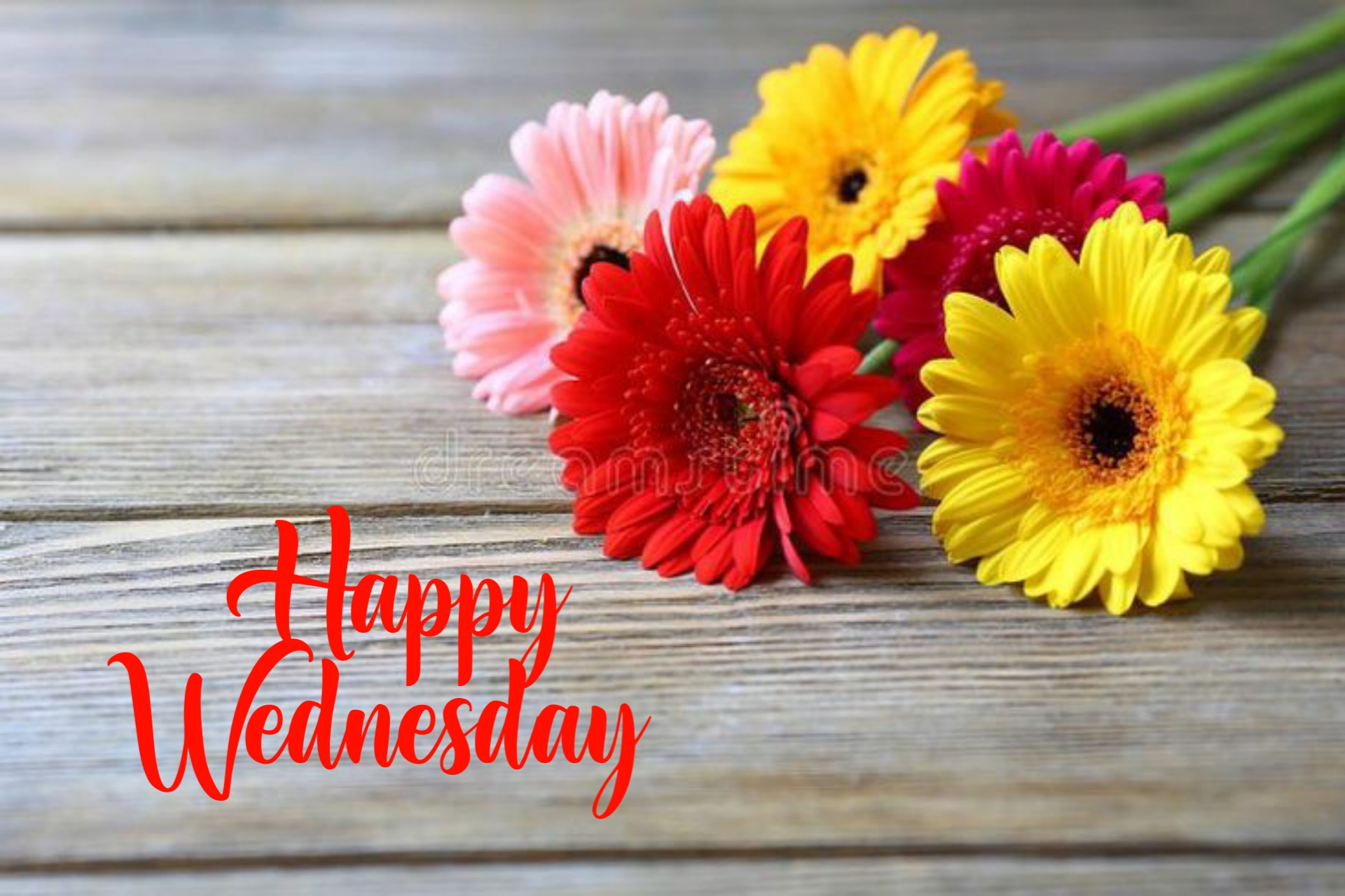 wonderful wednesday images