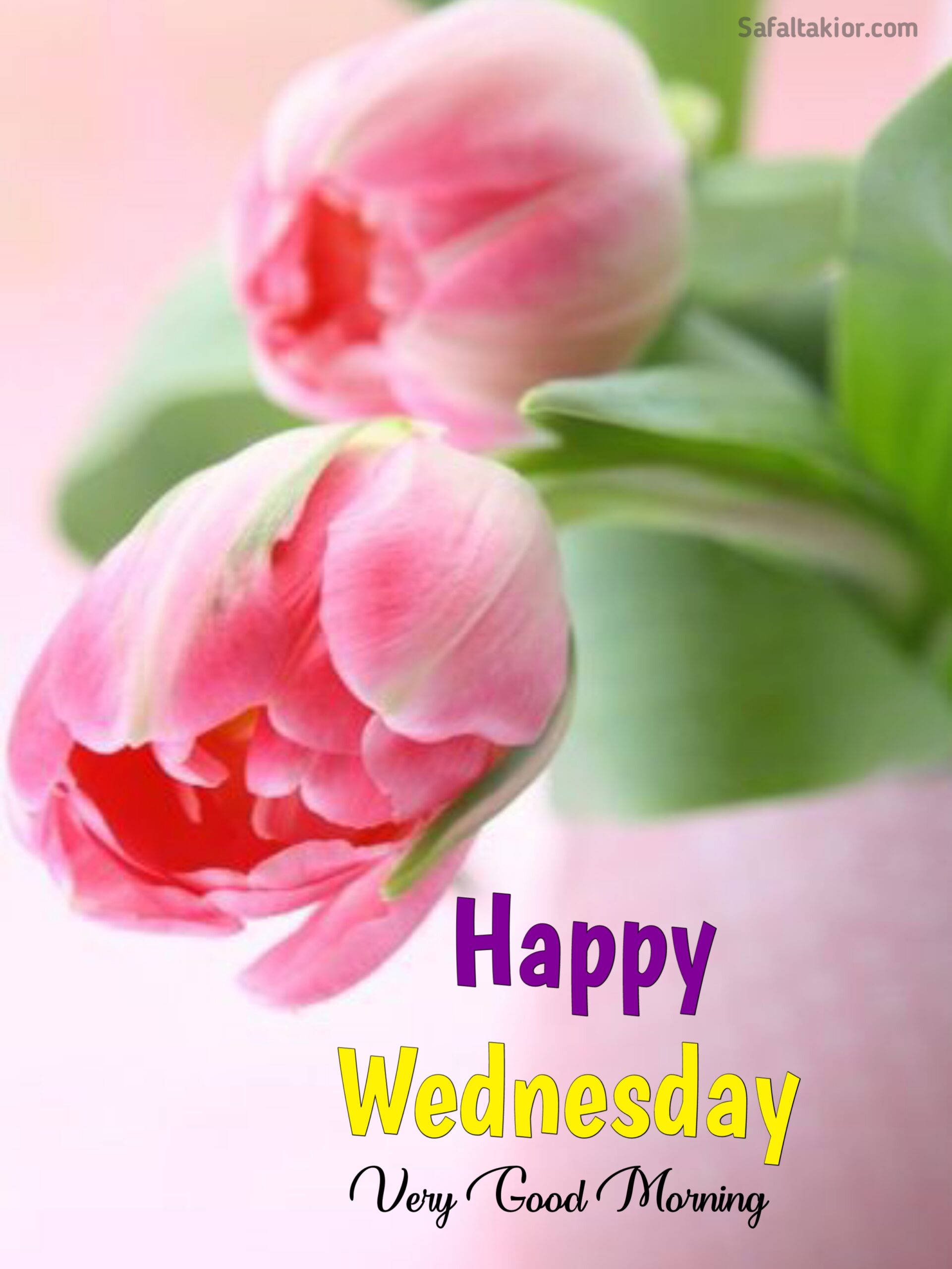 happy wednesday images