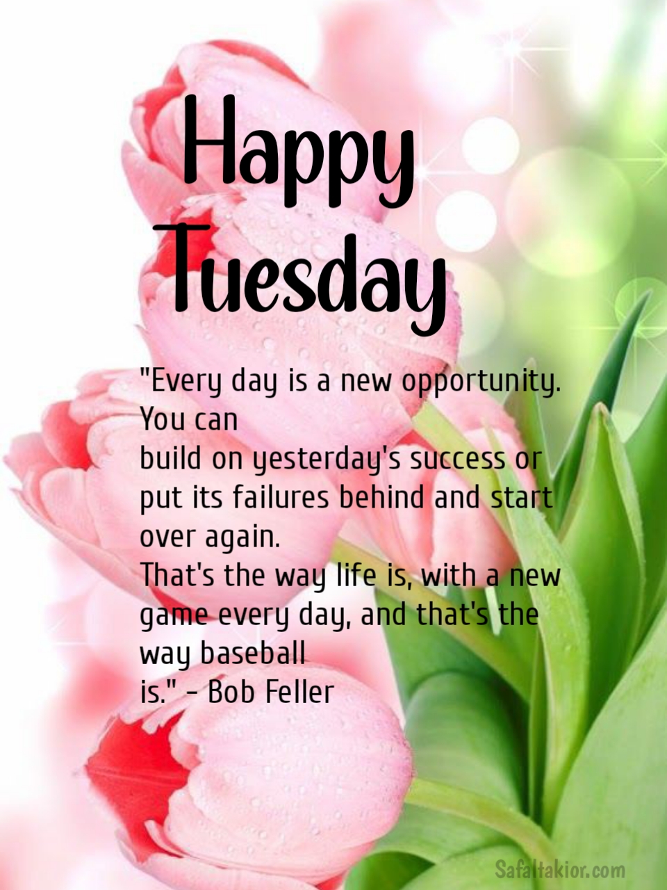Happy Tuesday Quotes images