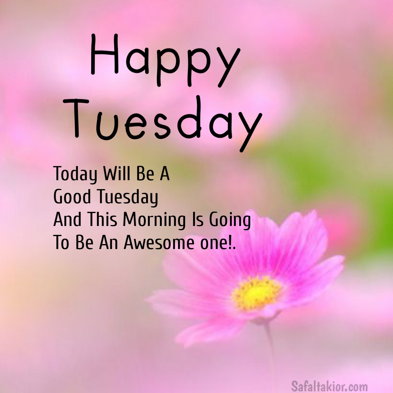 Happy Tuesday Quotes images