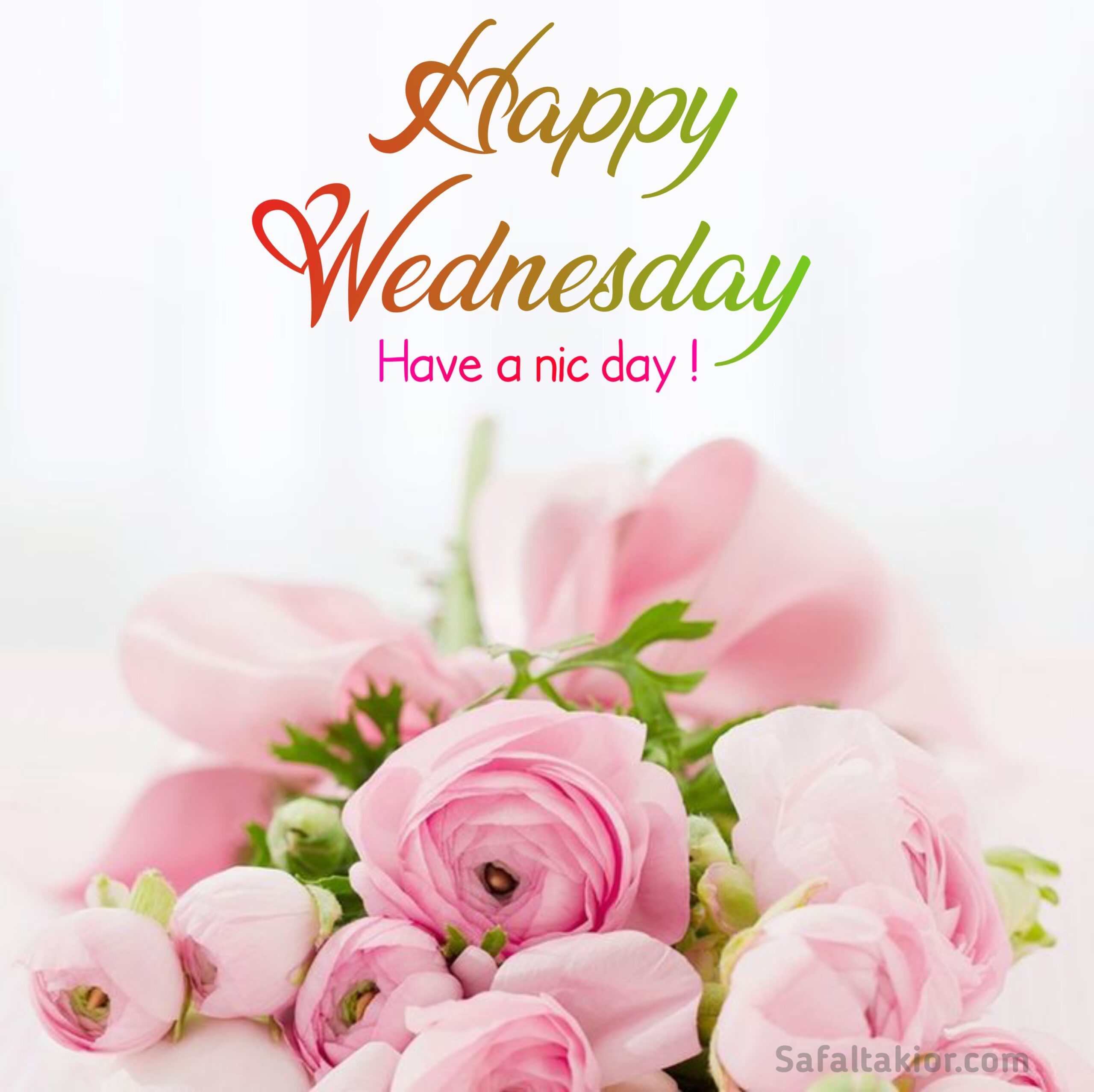 happy wednesday images