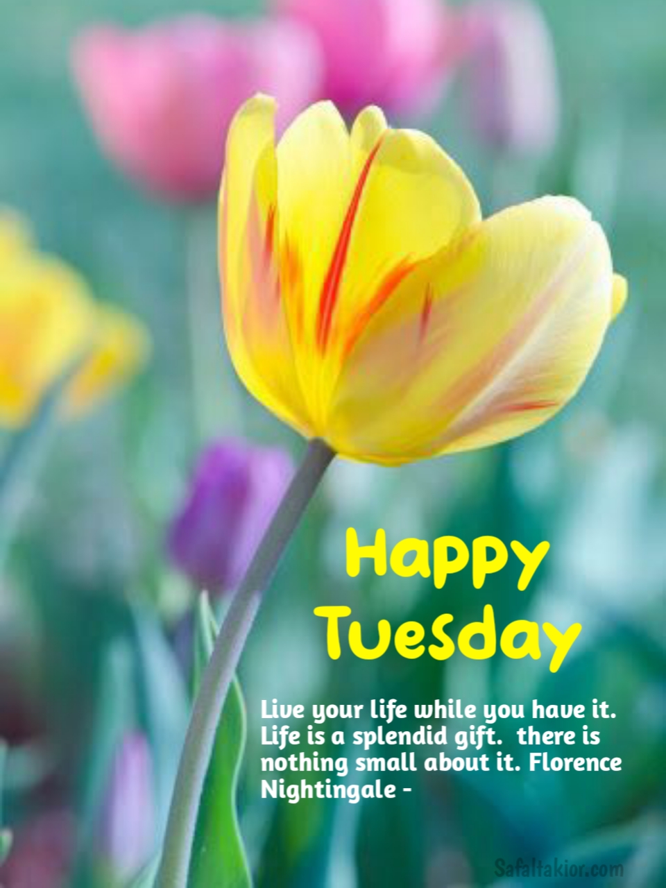happy tuesday quotes and images