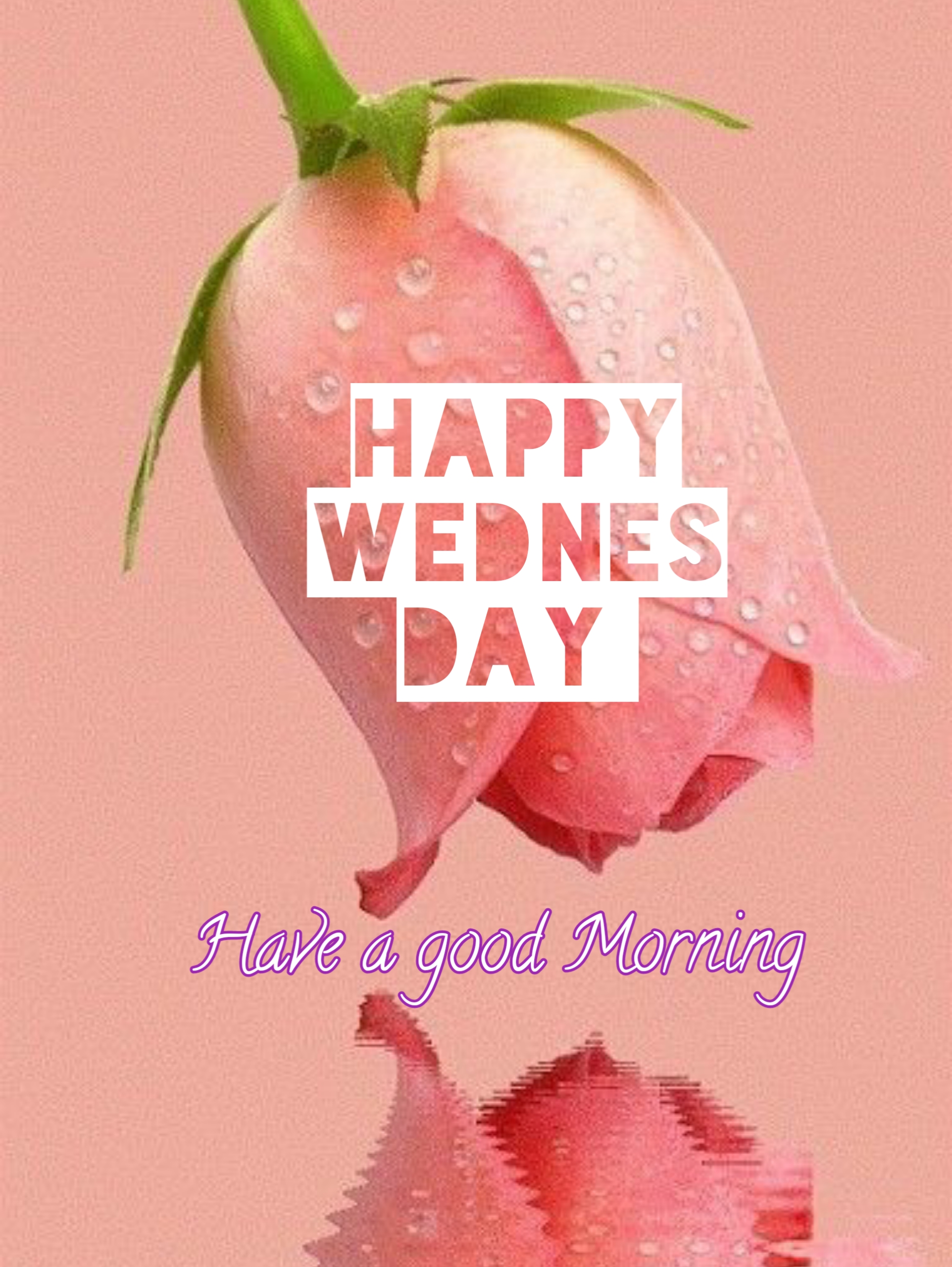 wonderful wednesday images