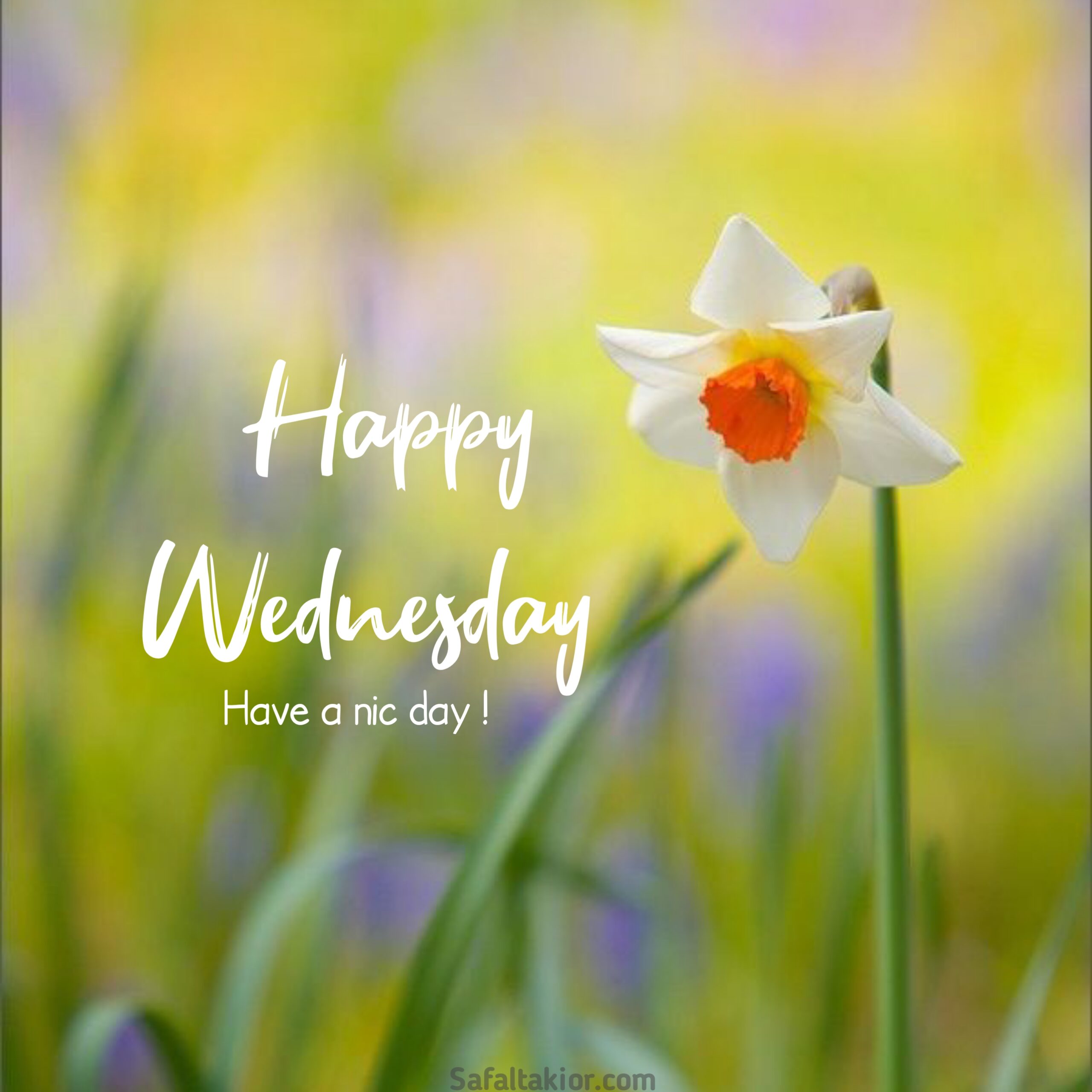 happy wednesday images